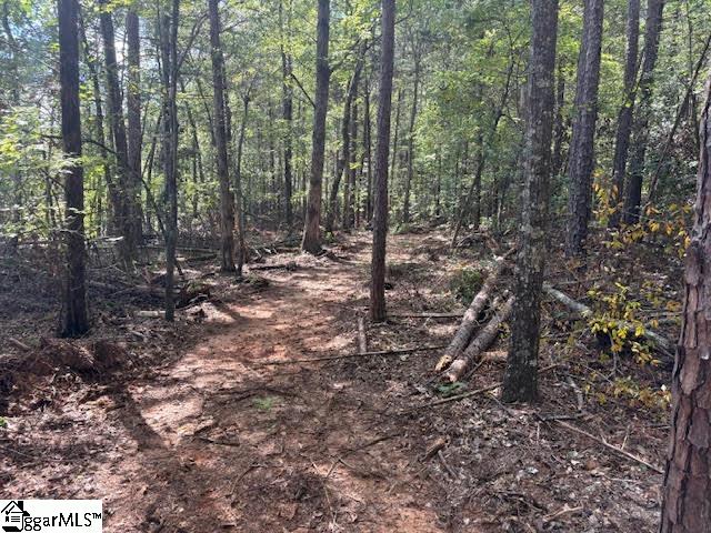 00 Ball Park Road Enoree, SC 29335