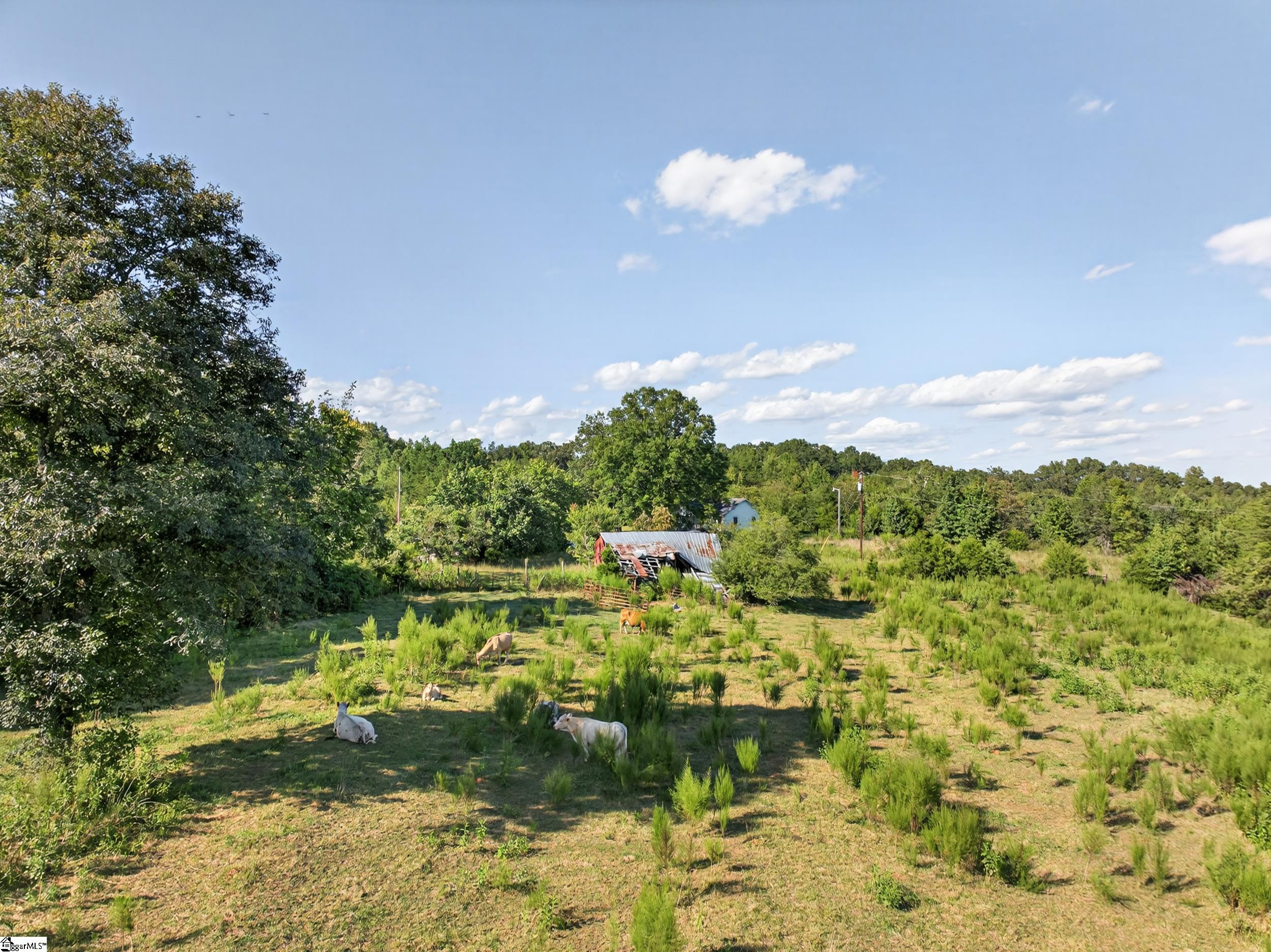 550 Harris Road Chesnee, SC 29323