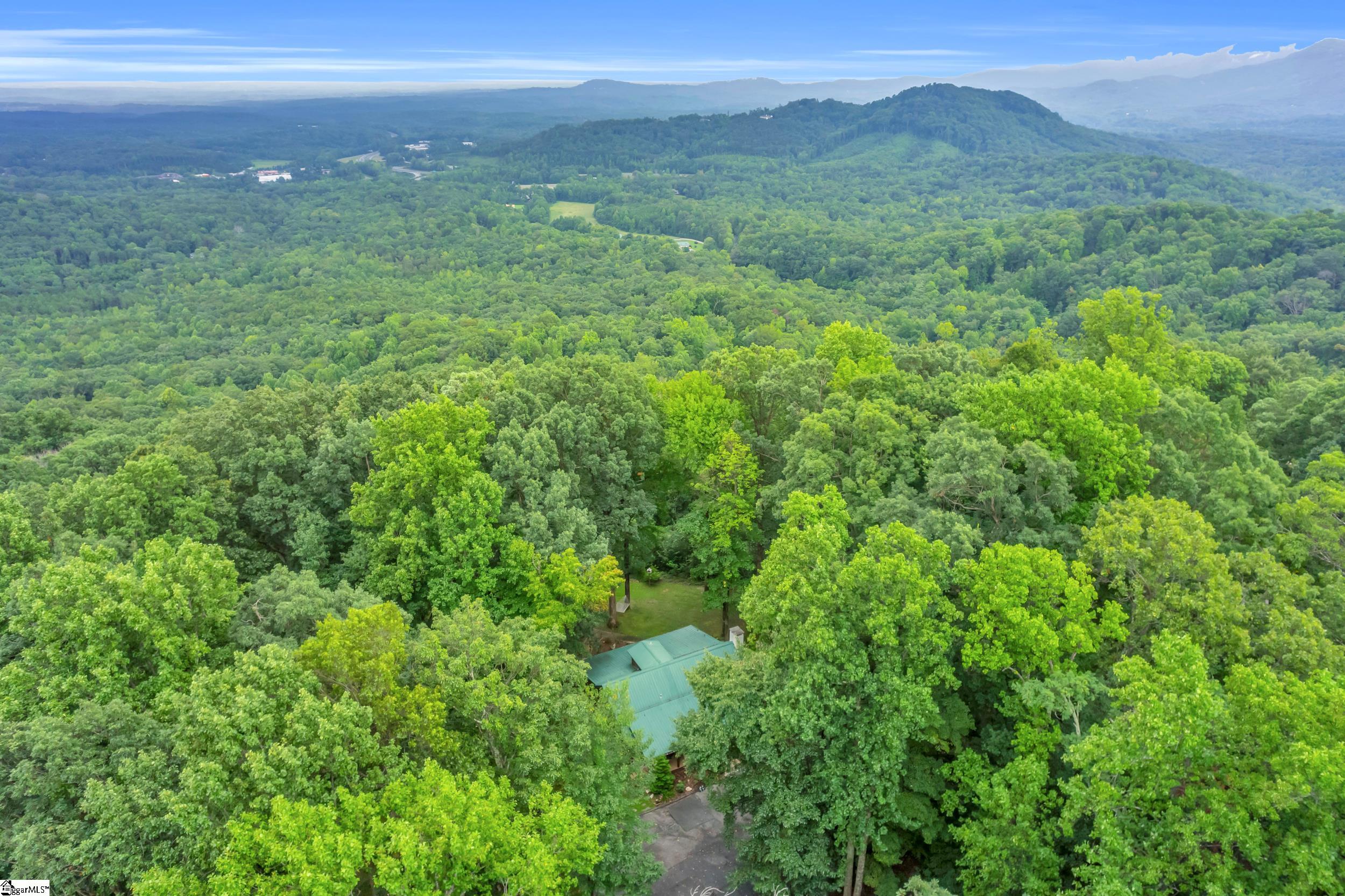 926 White Oak Mountain Road Columbus, SC 28722