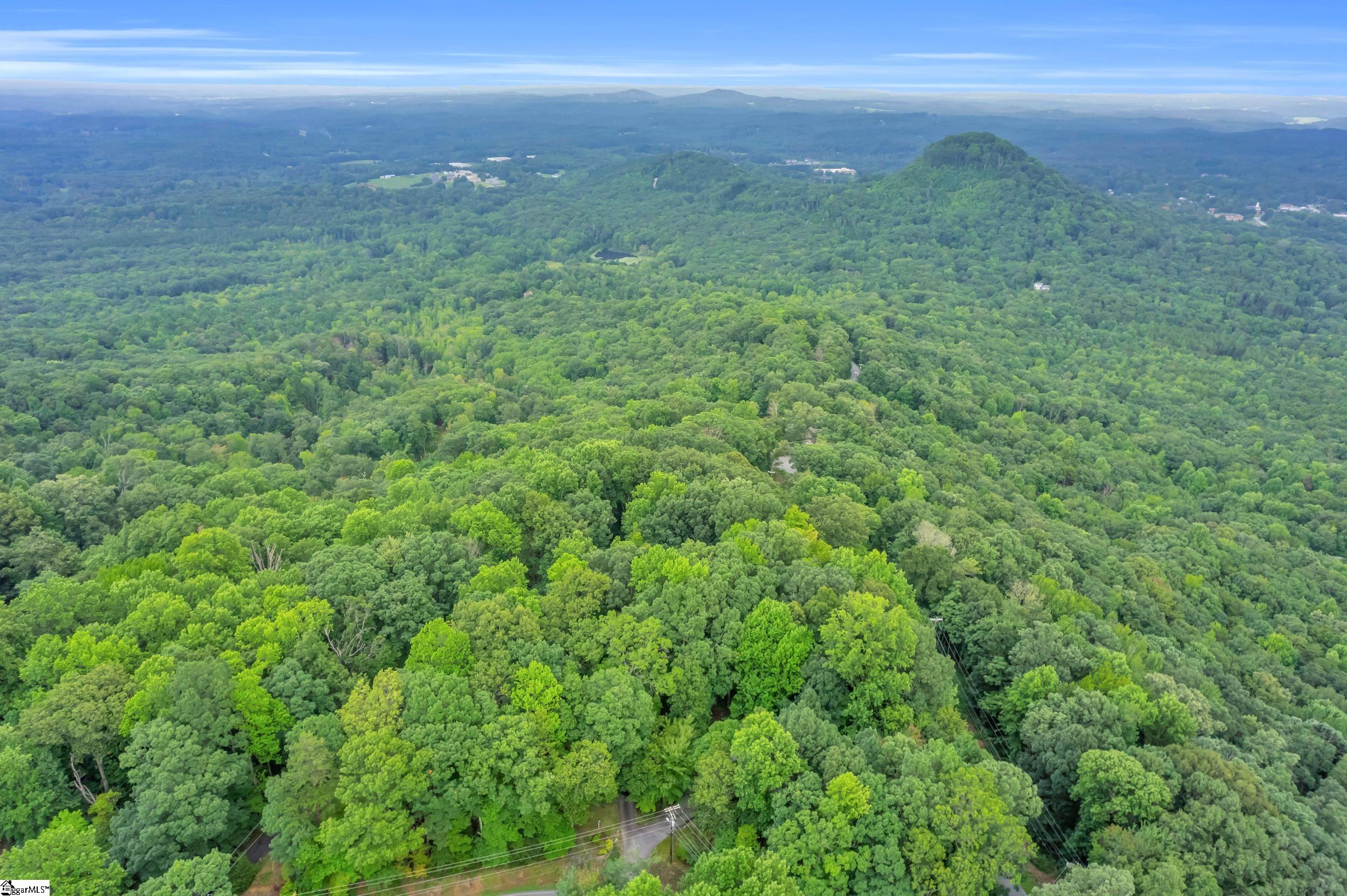 926 White Oak Mountain Road Columbus, SC 28722