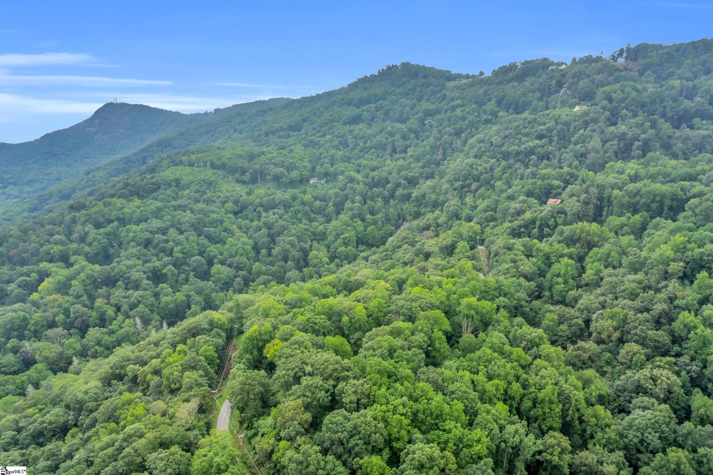 926 White Oak Mountain Road Columbus, SC 28722