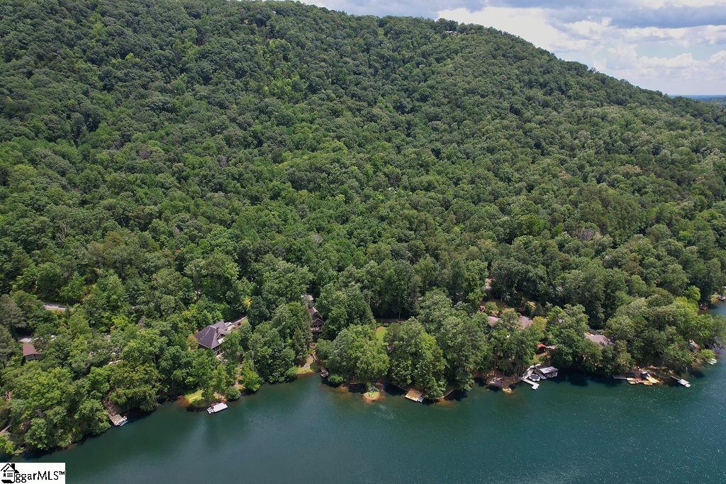 00 Buffalo Creek Road Lake Lure, NC 28746