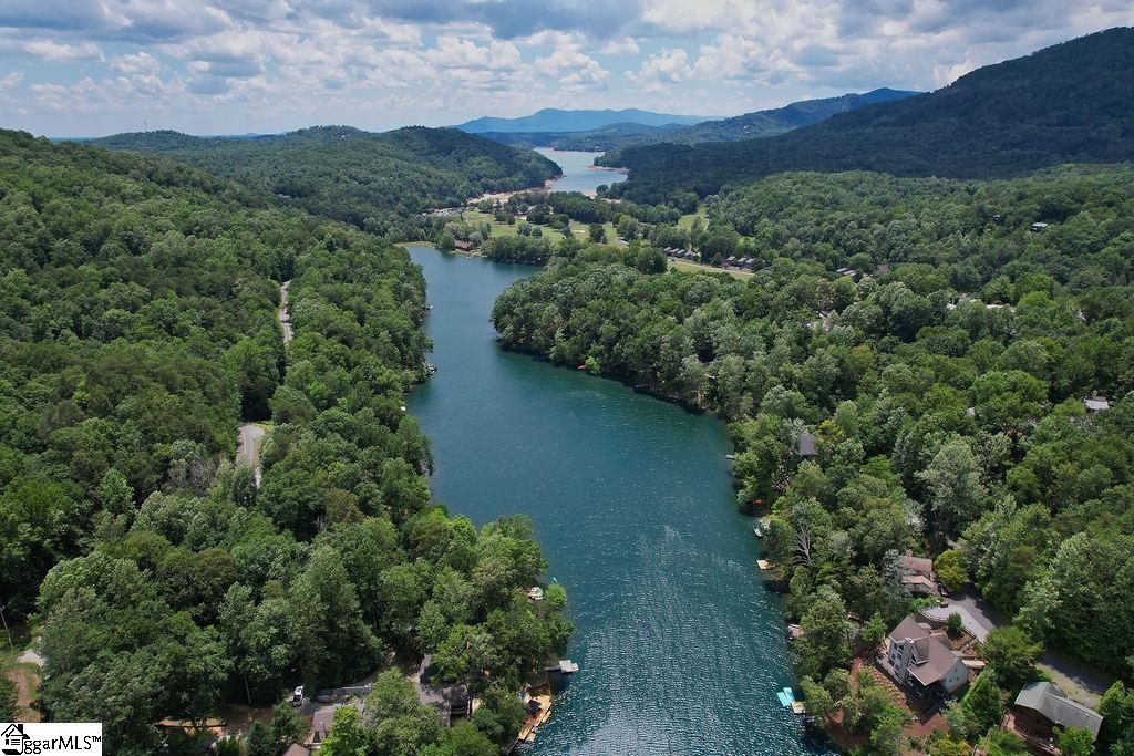 00 Buffalo Creek Road Lake Lure, NC 28746