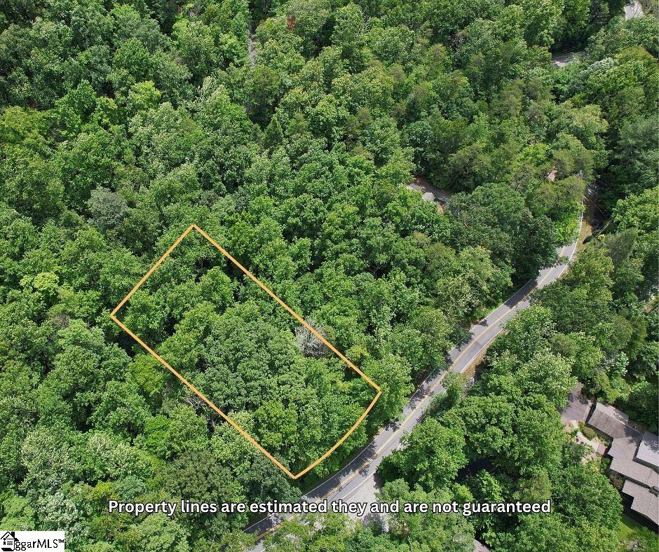 00 Buffalo Creek Road Lake Lure, NC 28746