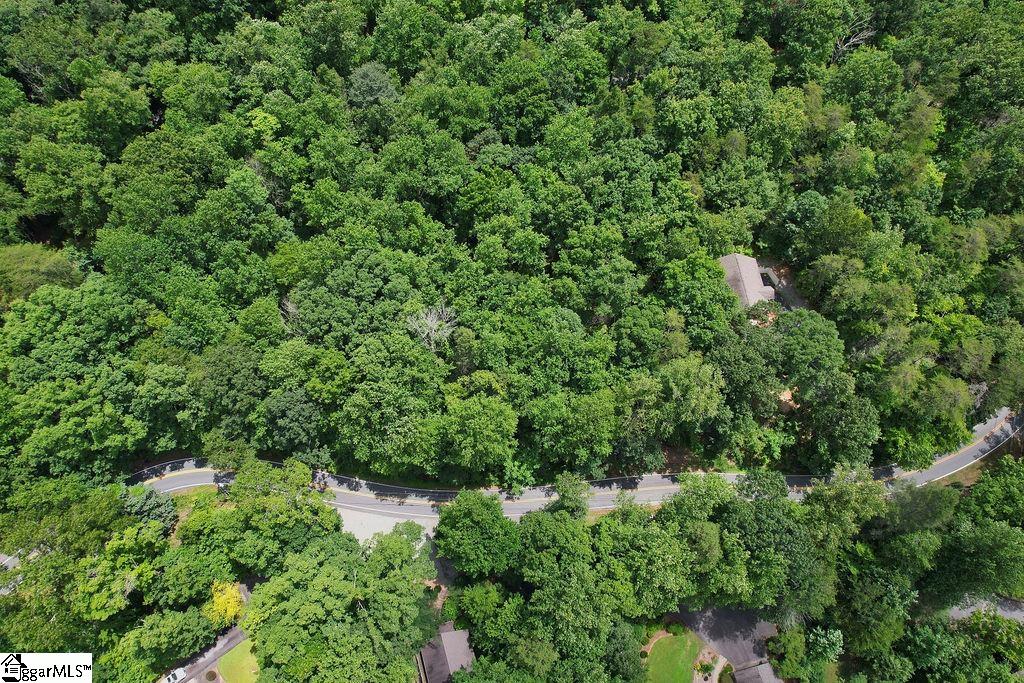 00 Buffalo Creek Road Lake Lure, NC 28746