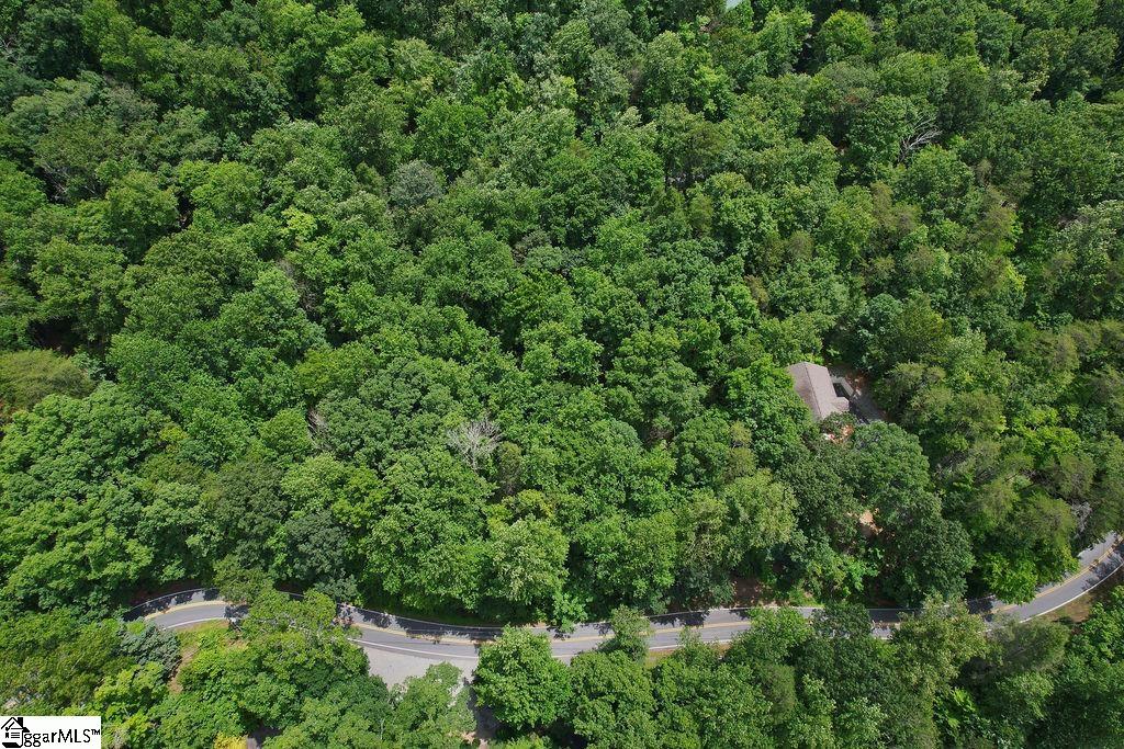 00 Buffalo Creek Road Lake Lure, NC 28746