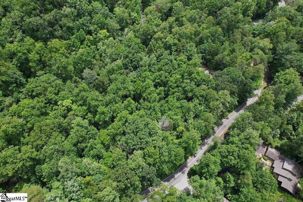 00 Buffalo Creek Road Lake Lure, NC 28746