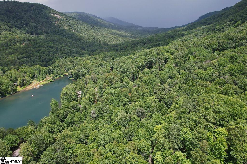 00 Buffalo Creek Road Lake Lure, NC 28746
