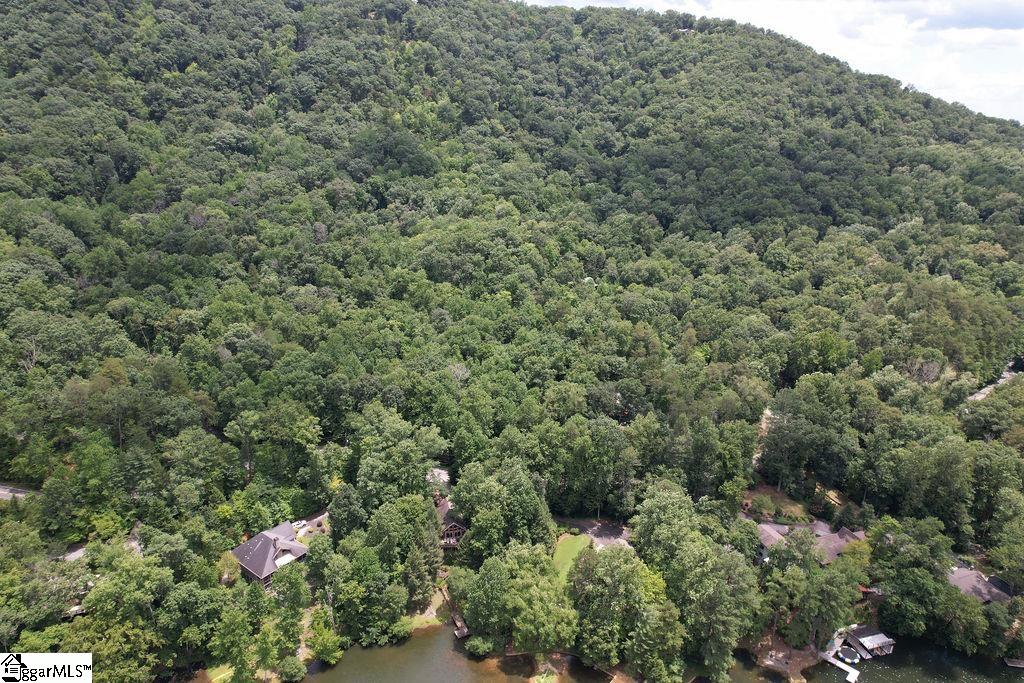 00 Buffalo Creek Road Lake Lure, NC 28746