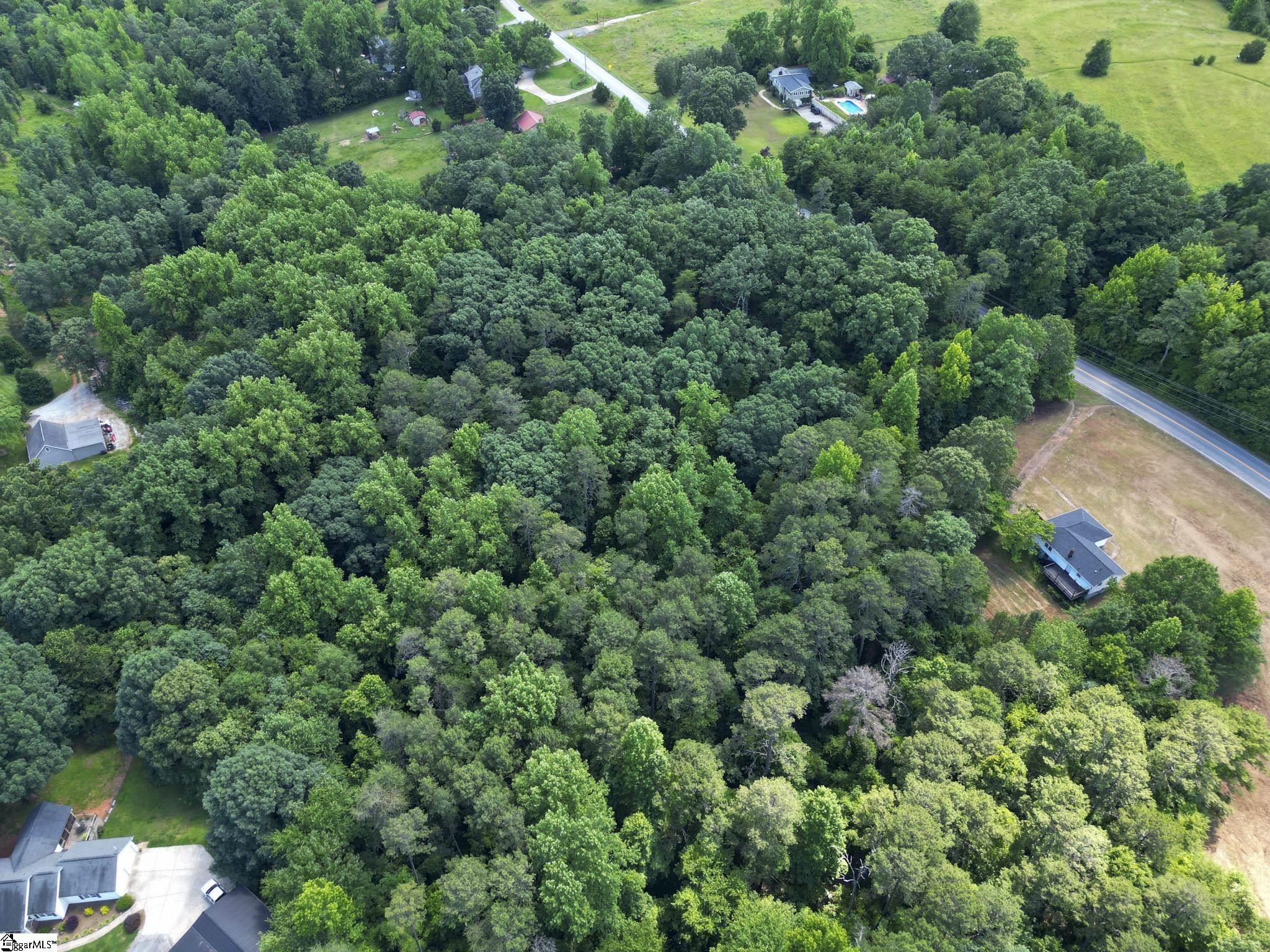 Tract 1B Tigerville Road Travelers Rest, SC 29690