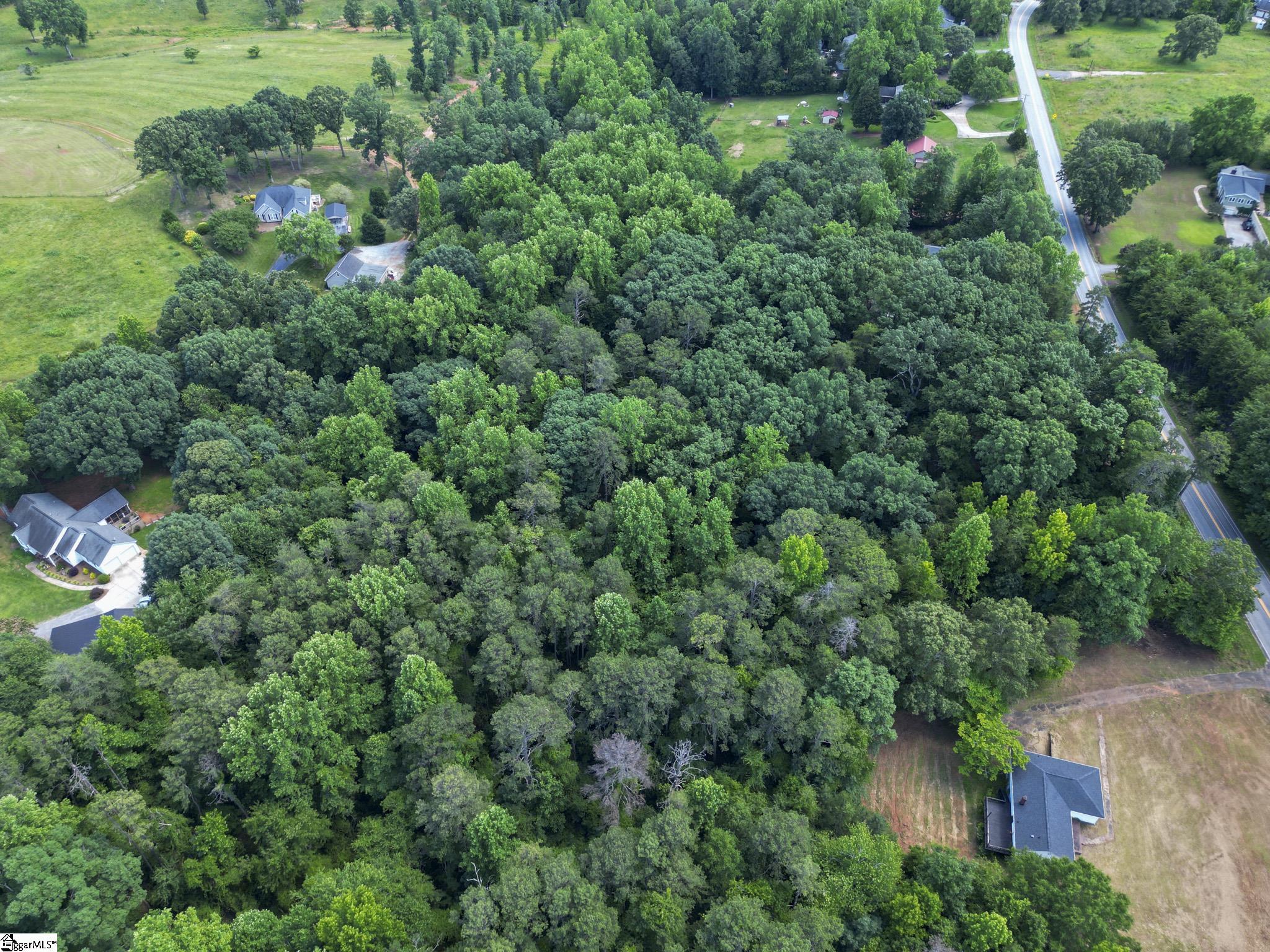 Tract 1B Tigerville Road Travelers Rest, SC 29690