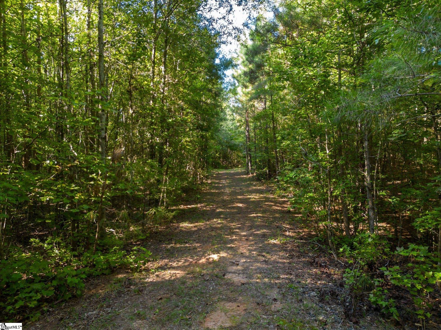 737 Burnt Mill Creek Road Mountville, SC 29370