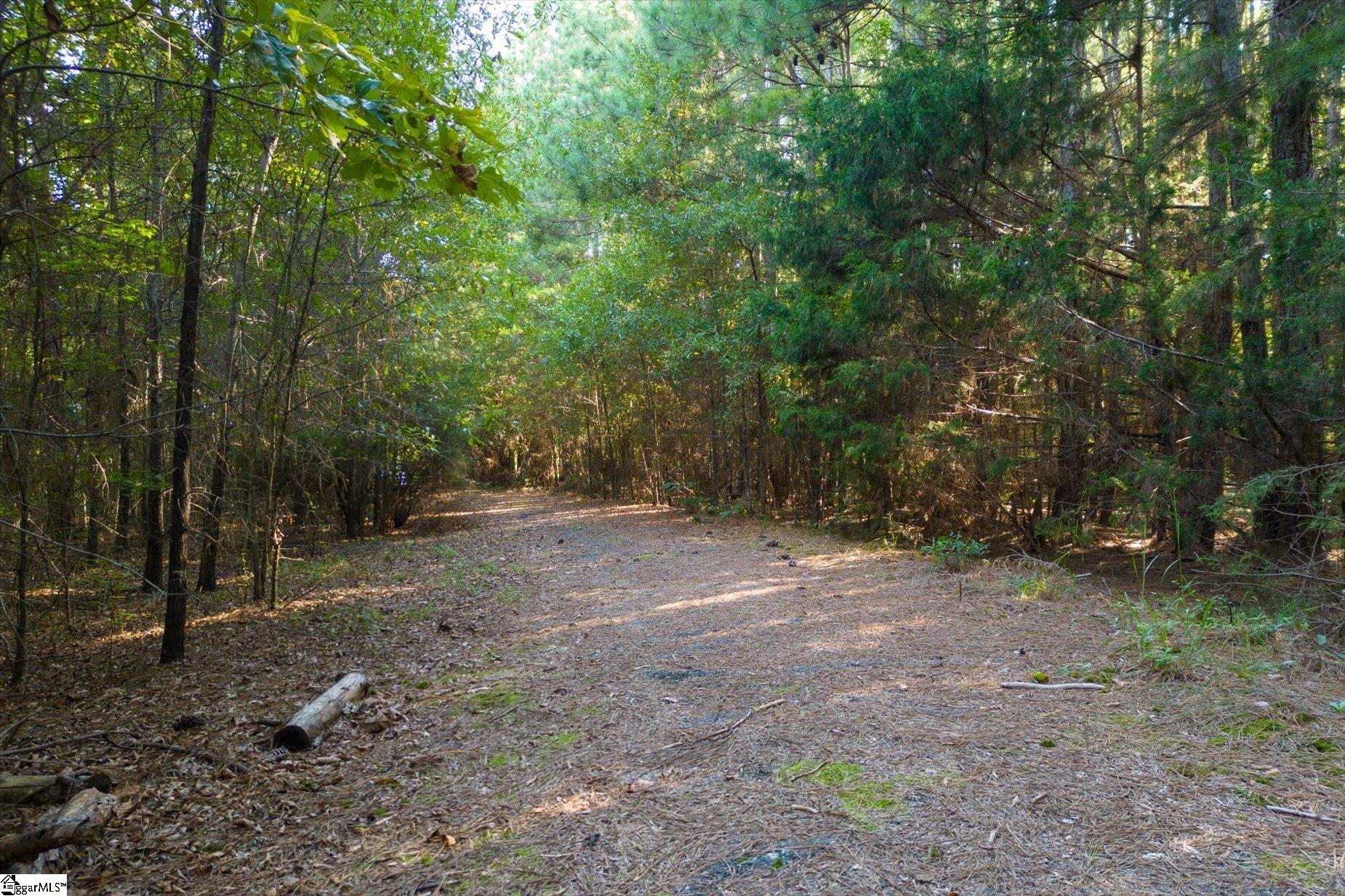 737 Burnt Mill Creek Road Mountville, SC 29370