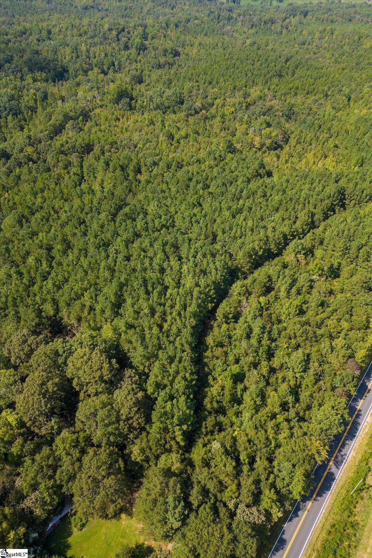 737 Burnt Mill Creek Road Mountville, SC 29370