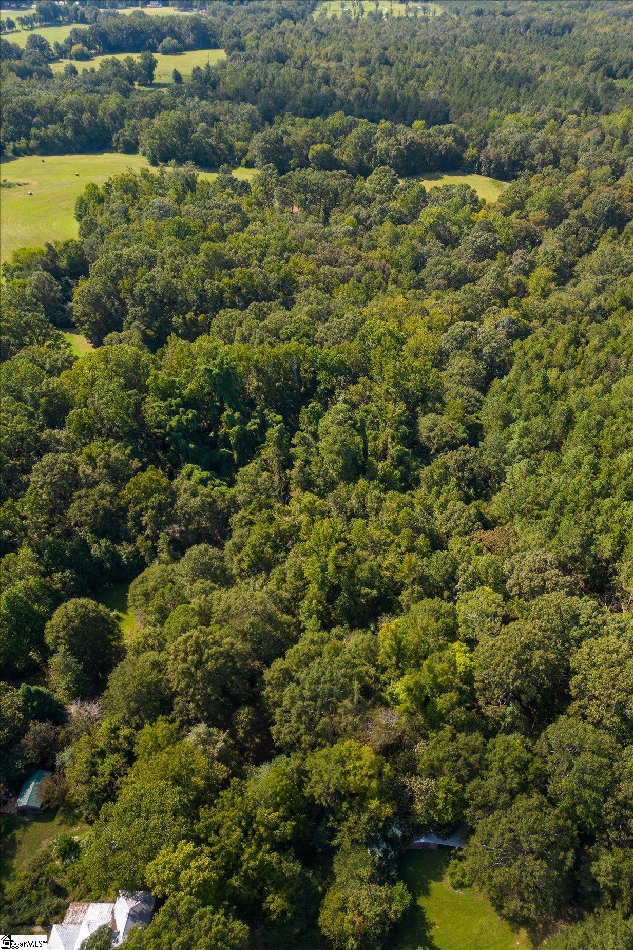 737 Burnt Mill Creek Road Mountville, SC 29370
