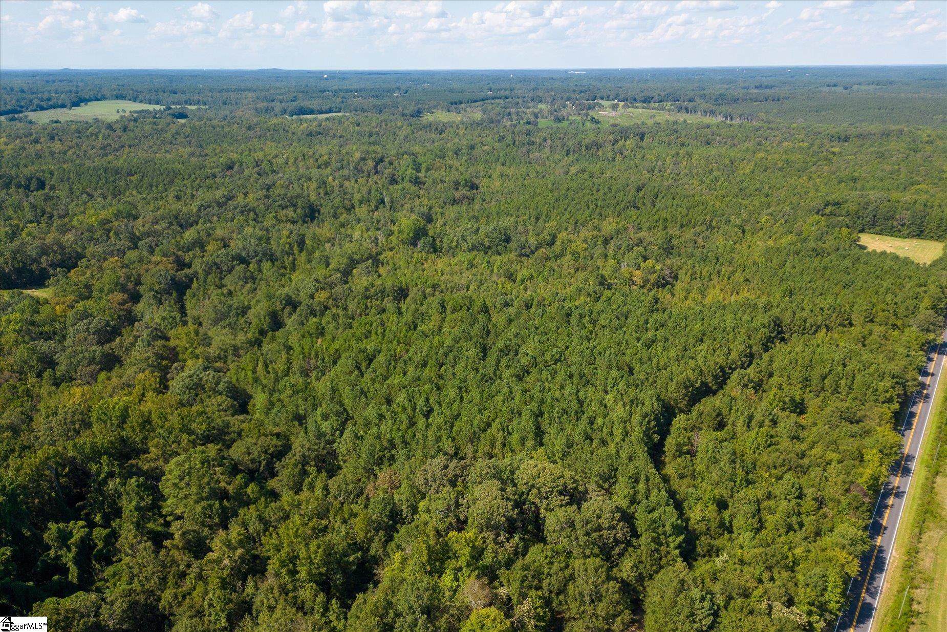737 Burnt Mill Creek Road Mountville, SC 29370