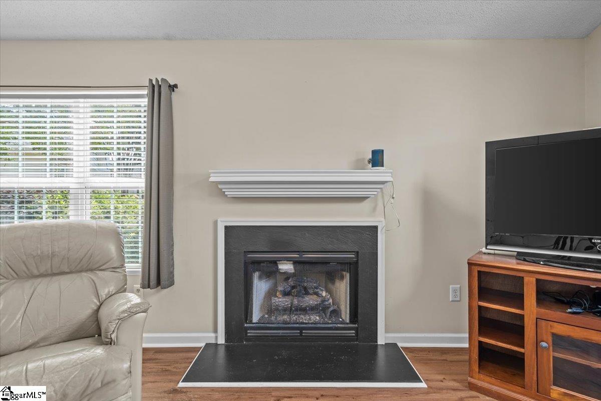 44 Bailess Court Greer, SC 29650