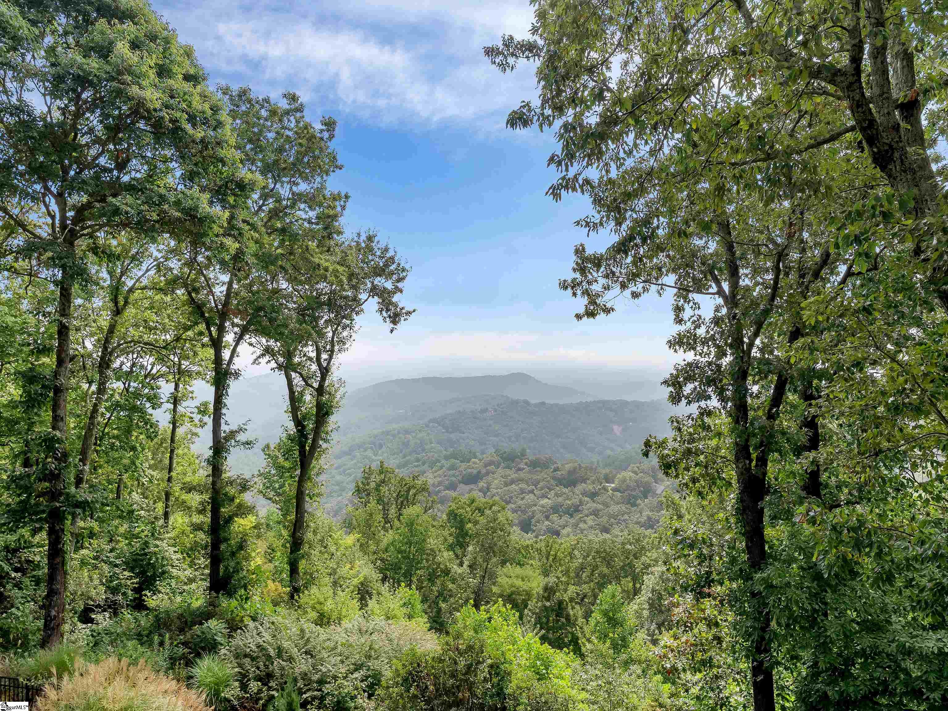 8 Moss Falls Lane Landrum, SC 29356