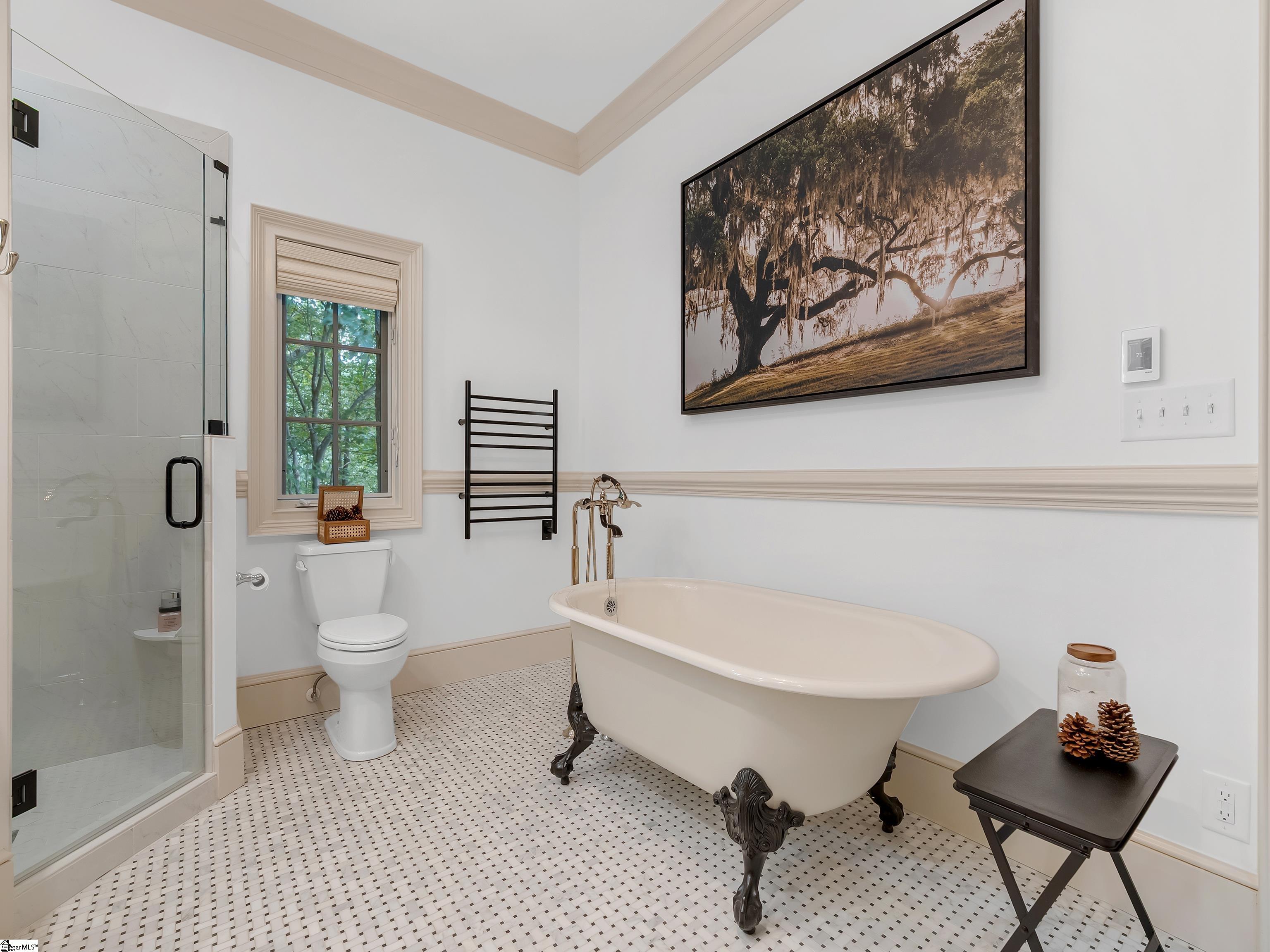 8 Moss Falls Lane Landrum, SC 29356