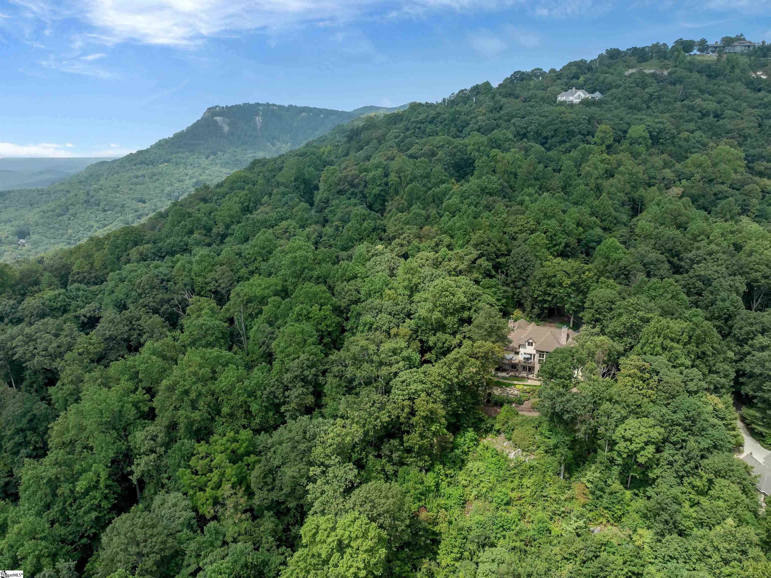 8 Moss Falls Lane Landrum, SC 29356