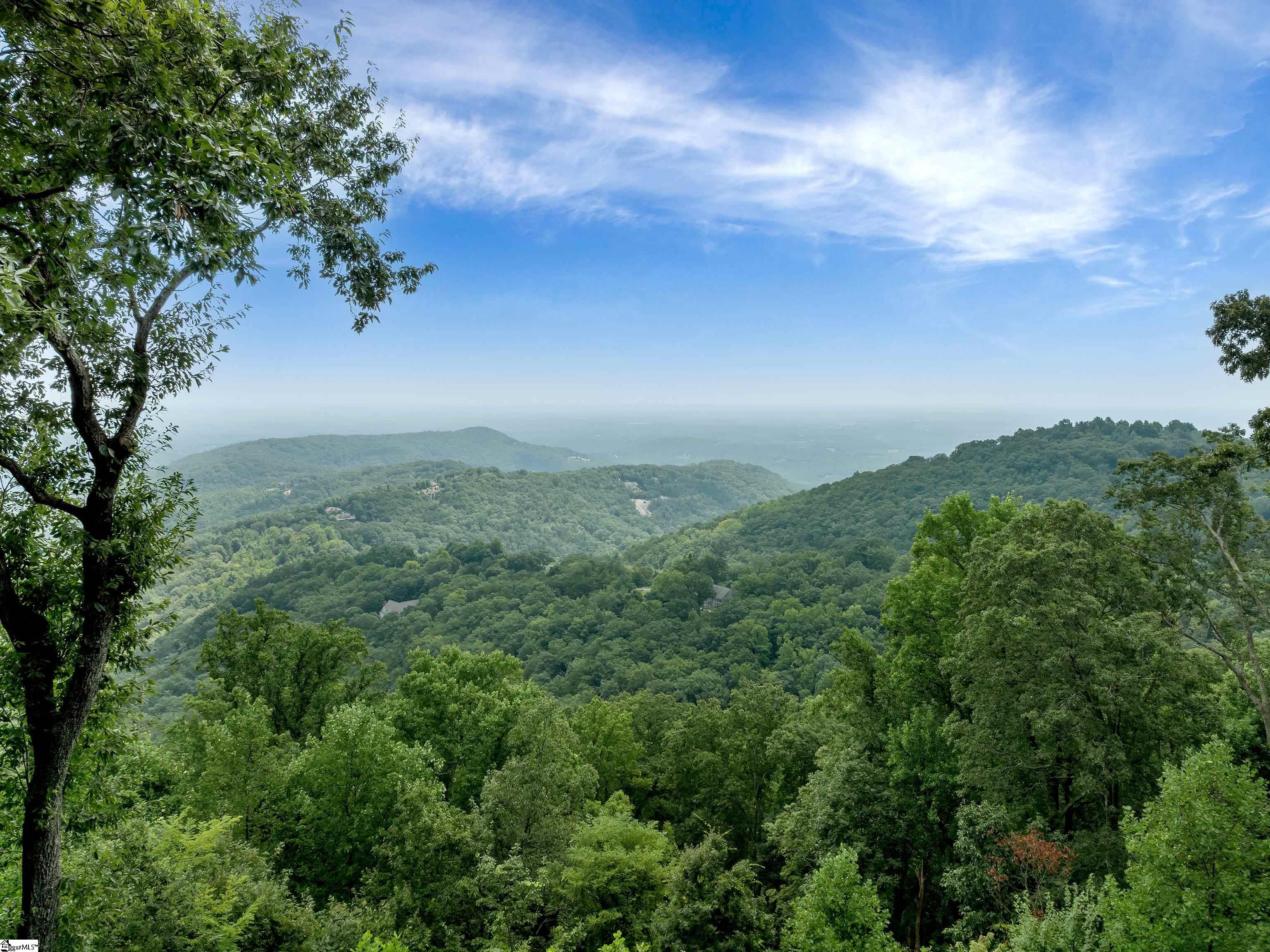 8 Moss Falls Lane Landrum, SC 29356