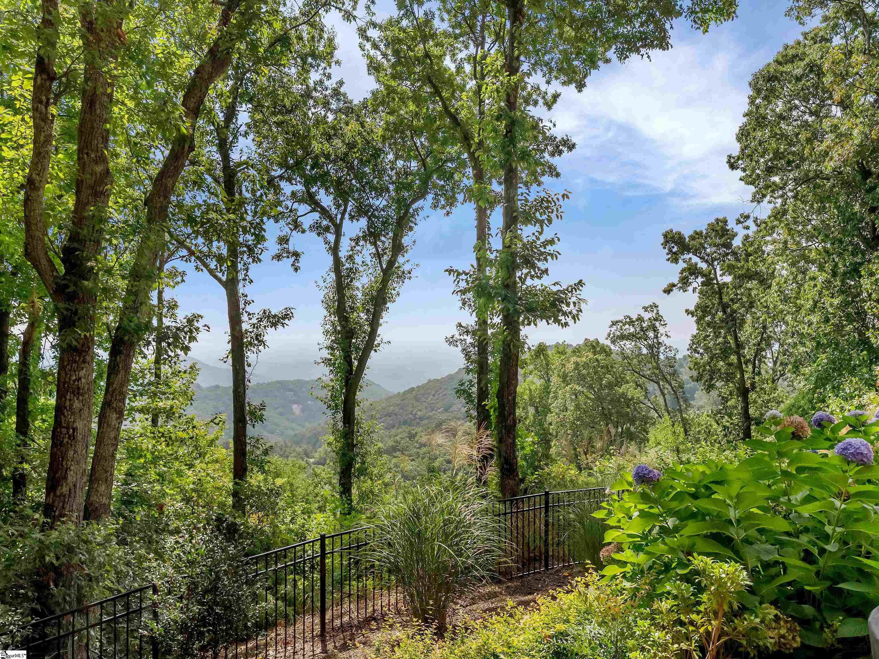 8 Moss Falls Lane Landrum, SC 29356