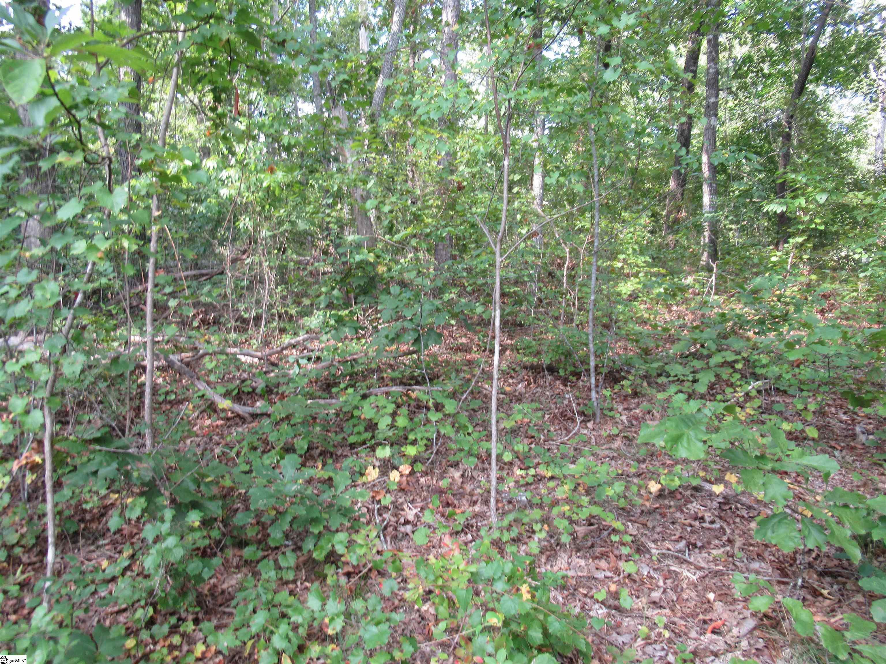 706 Scharlin Drive Pickens, SC 29671