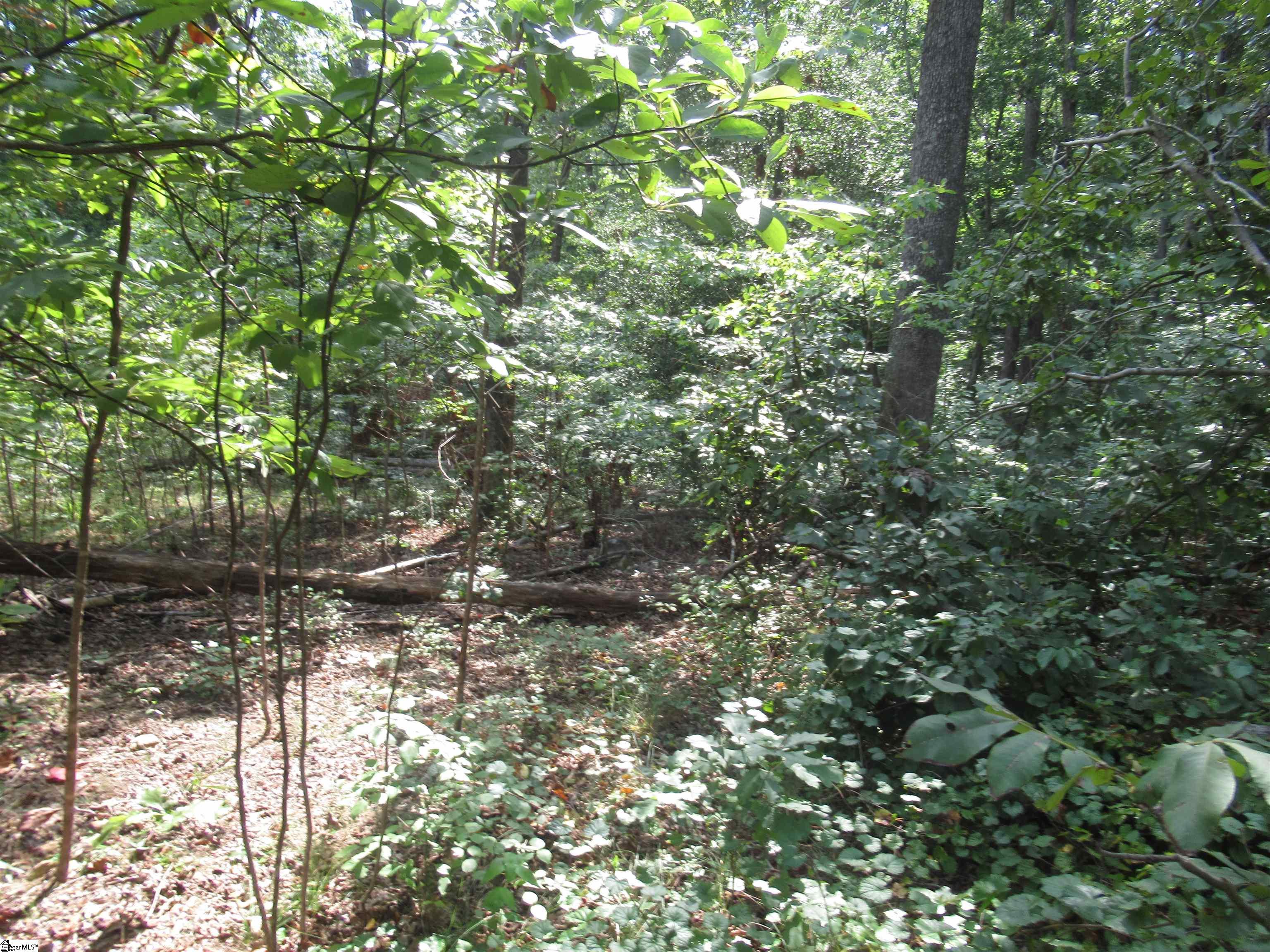 706 Scharlin Drive Pickens, SC 29671