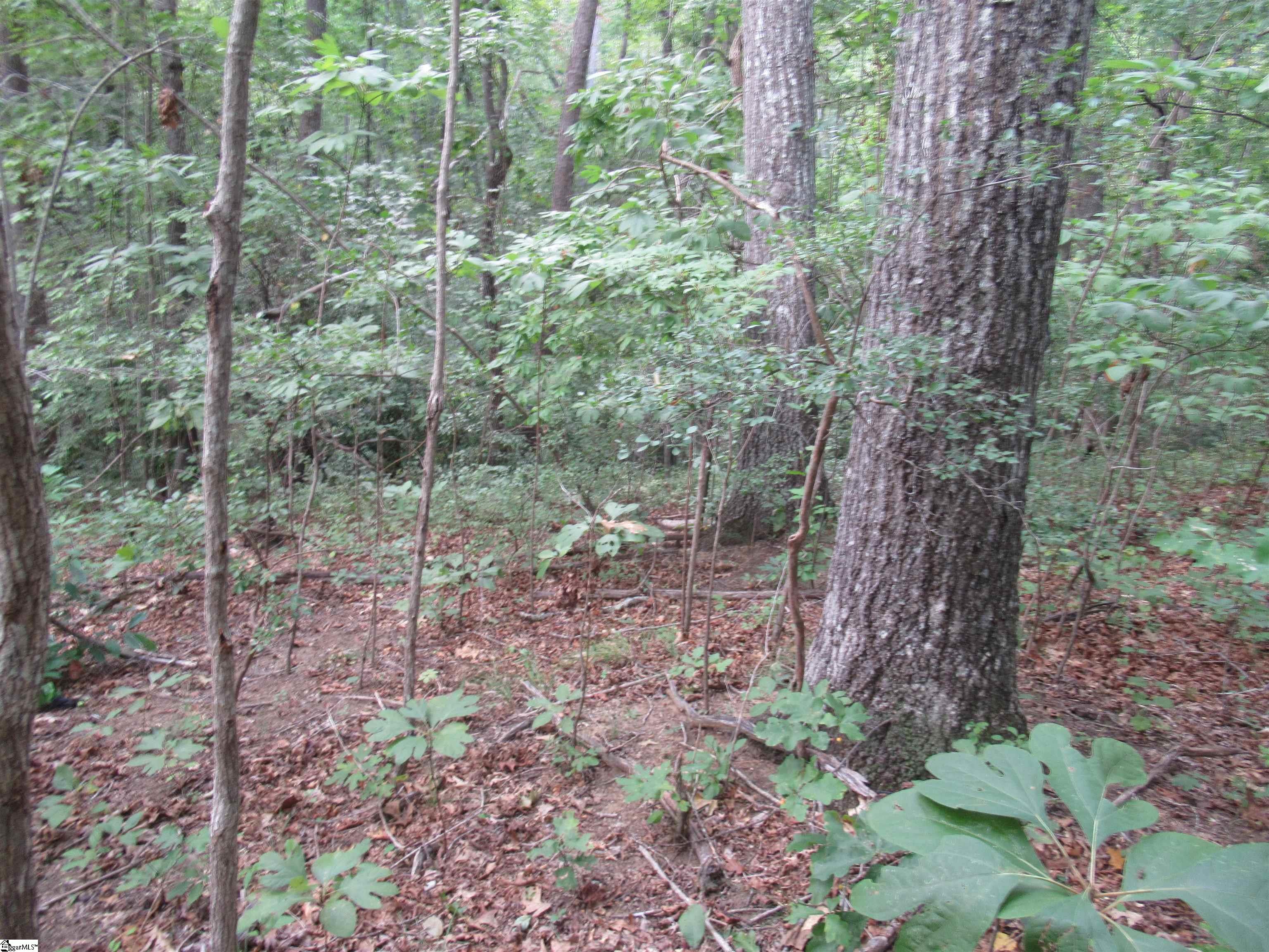 706 Scharlin Drive Pickens, SC 29671