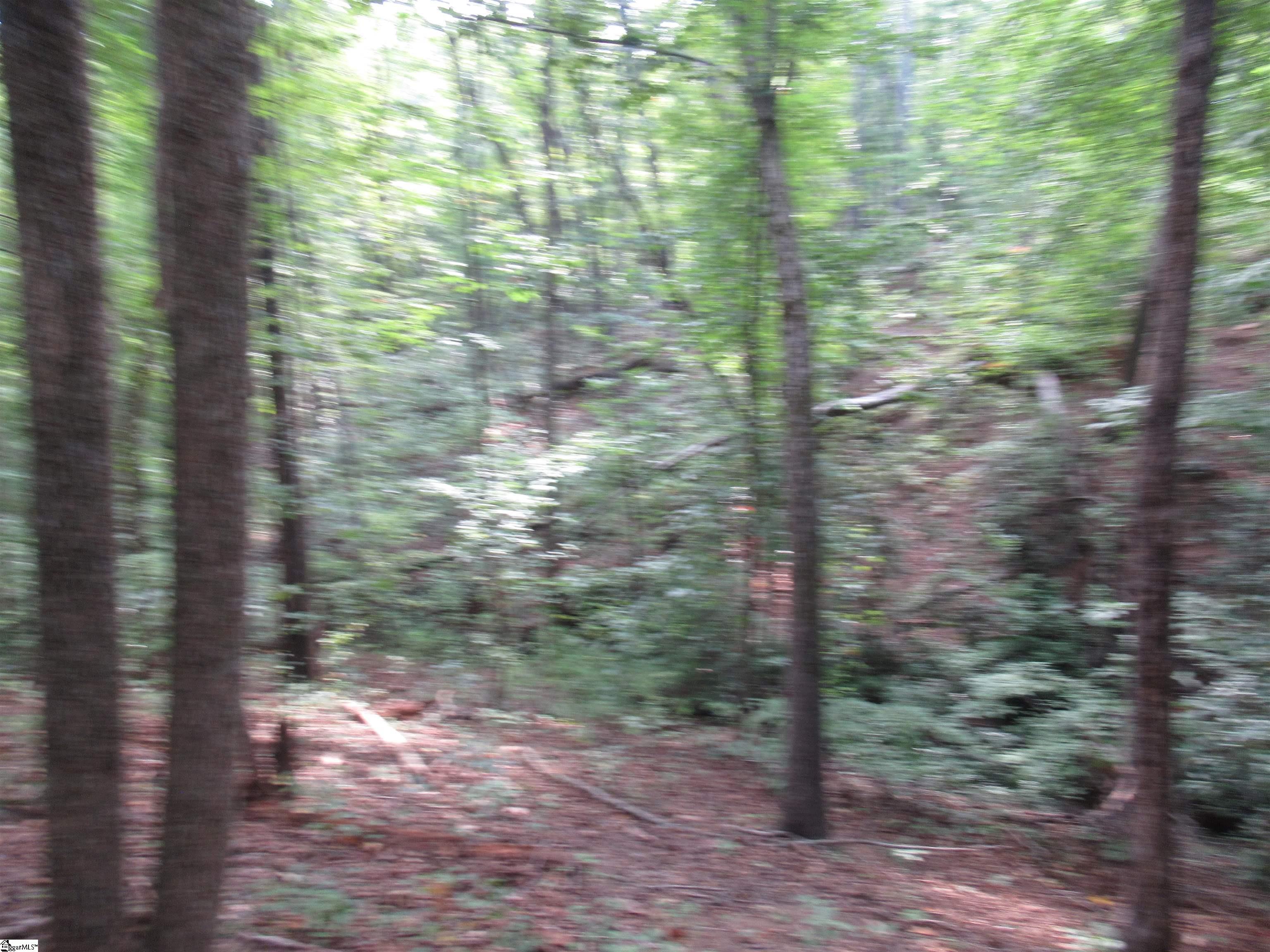 706 Scharlin Drive Pickens, SC 29671