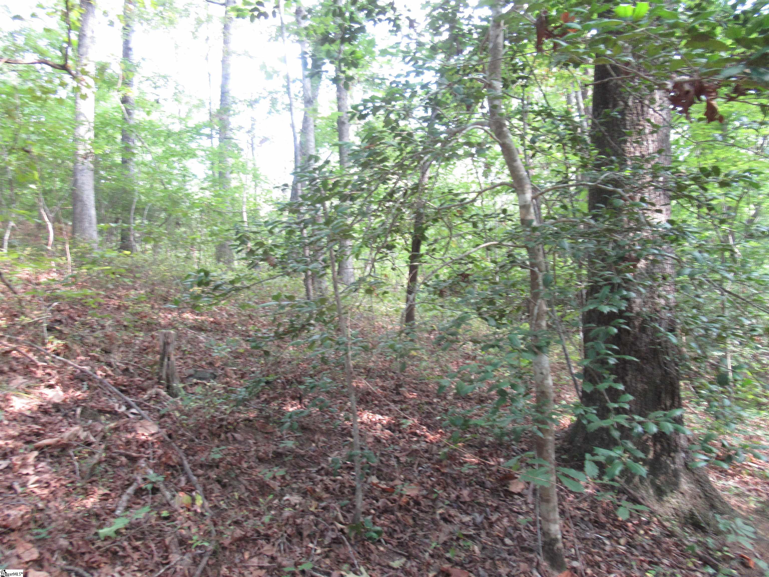 706 Scharlin Drive Pickens, SC 29671
