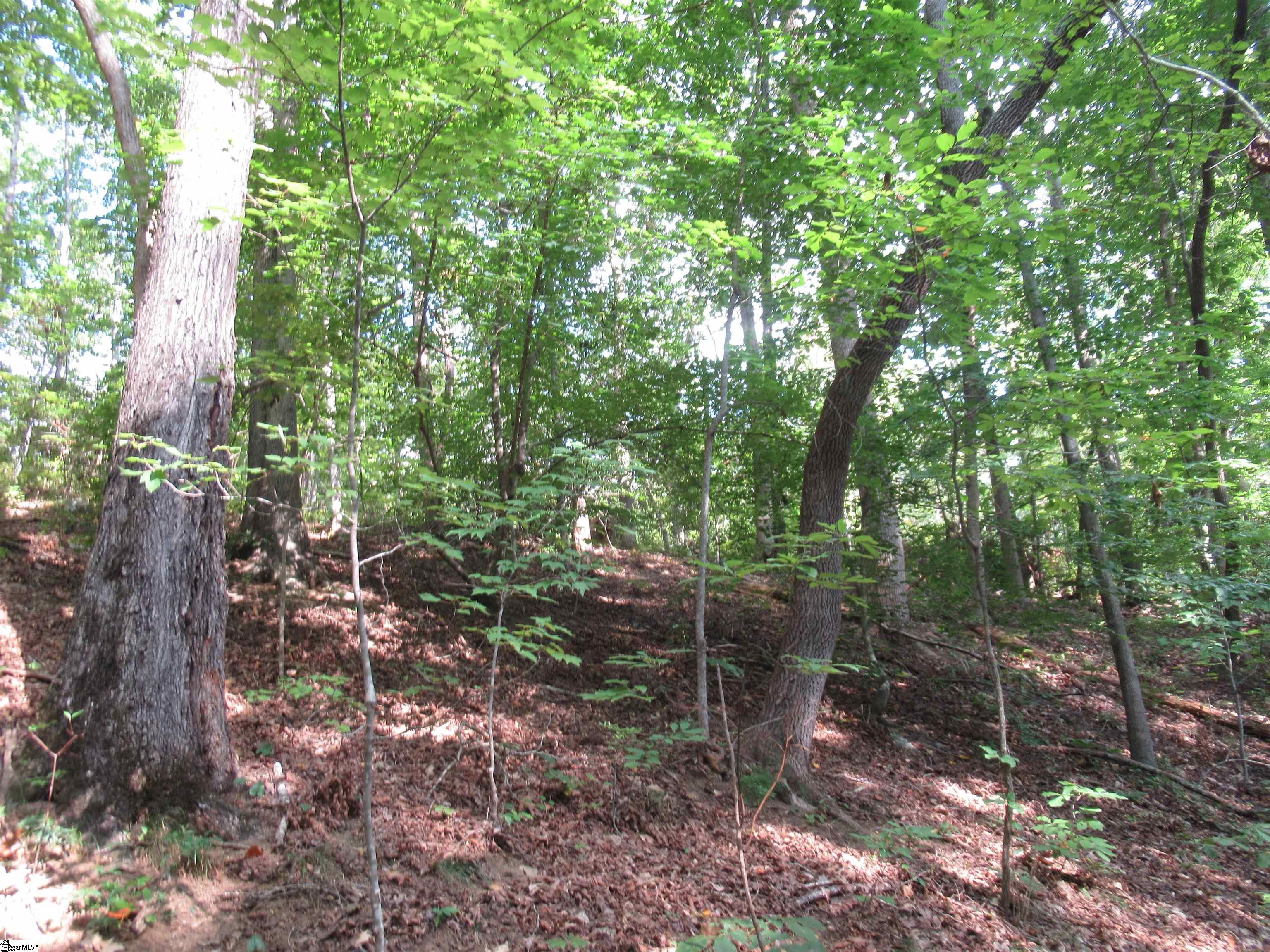 706 Scharlin Drive Pickens, SC 29671