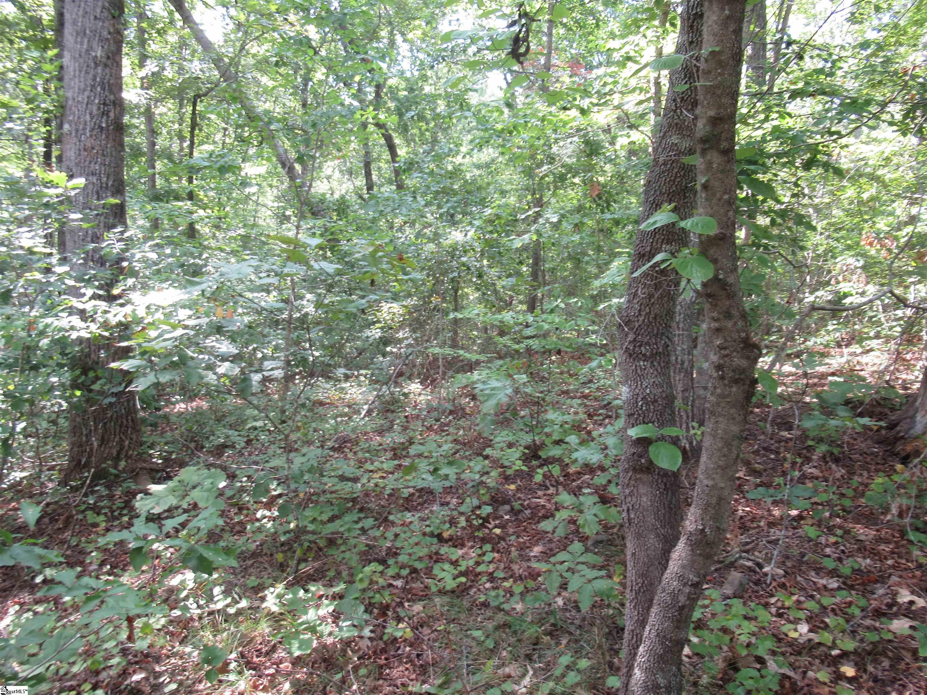 706 Scharlin Drive Pickens, SC 29671