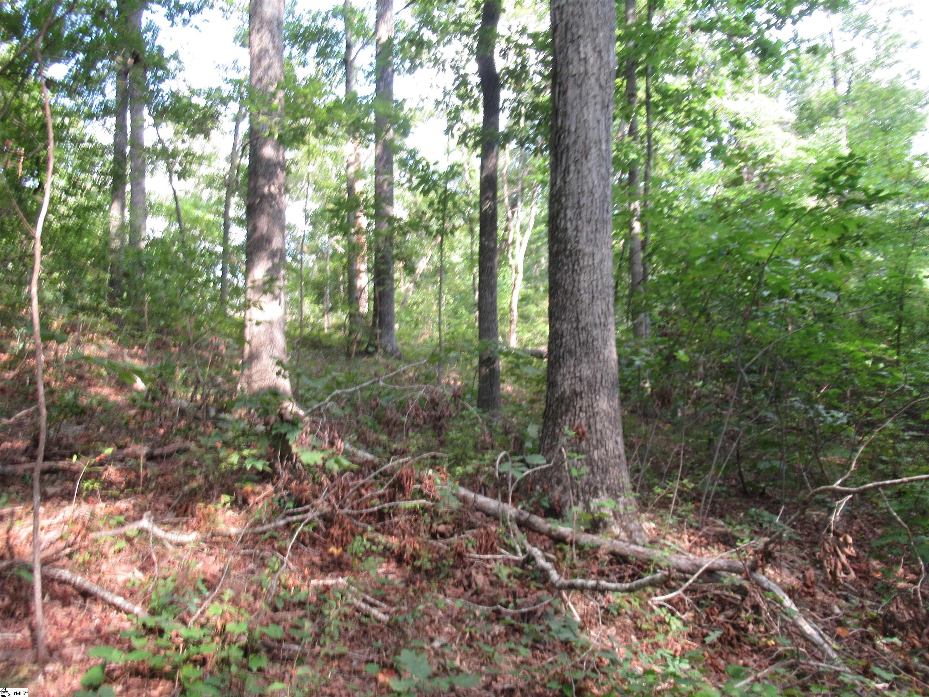 706 Scharlin Drive Pickens, SC 29671
