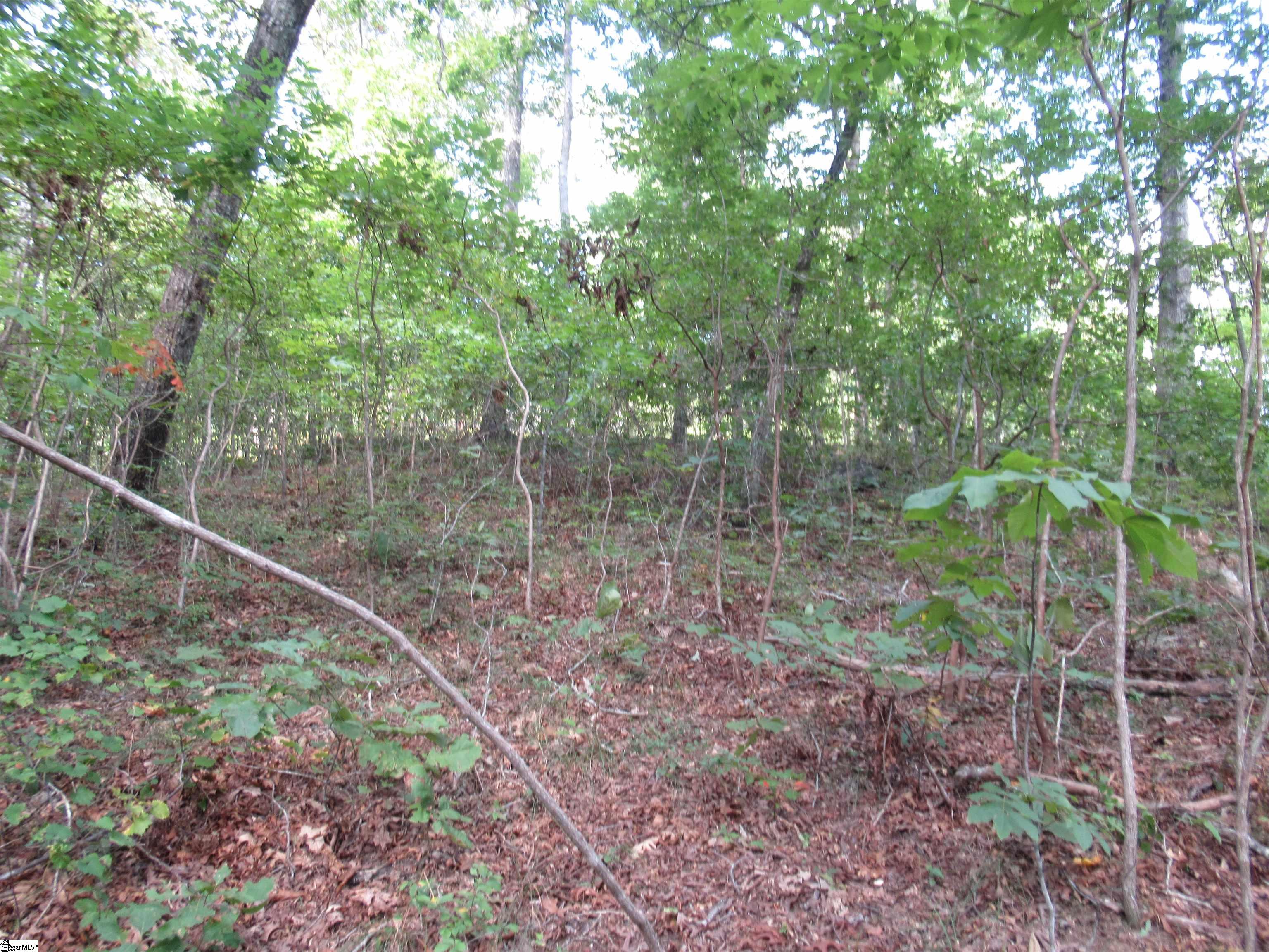 706 Scharlin Drive Pickens, SC 29671