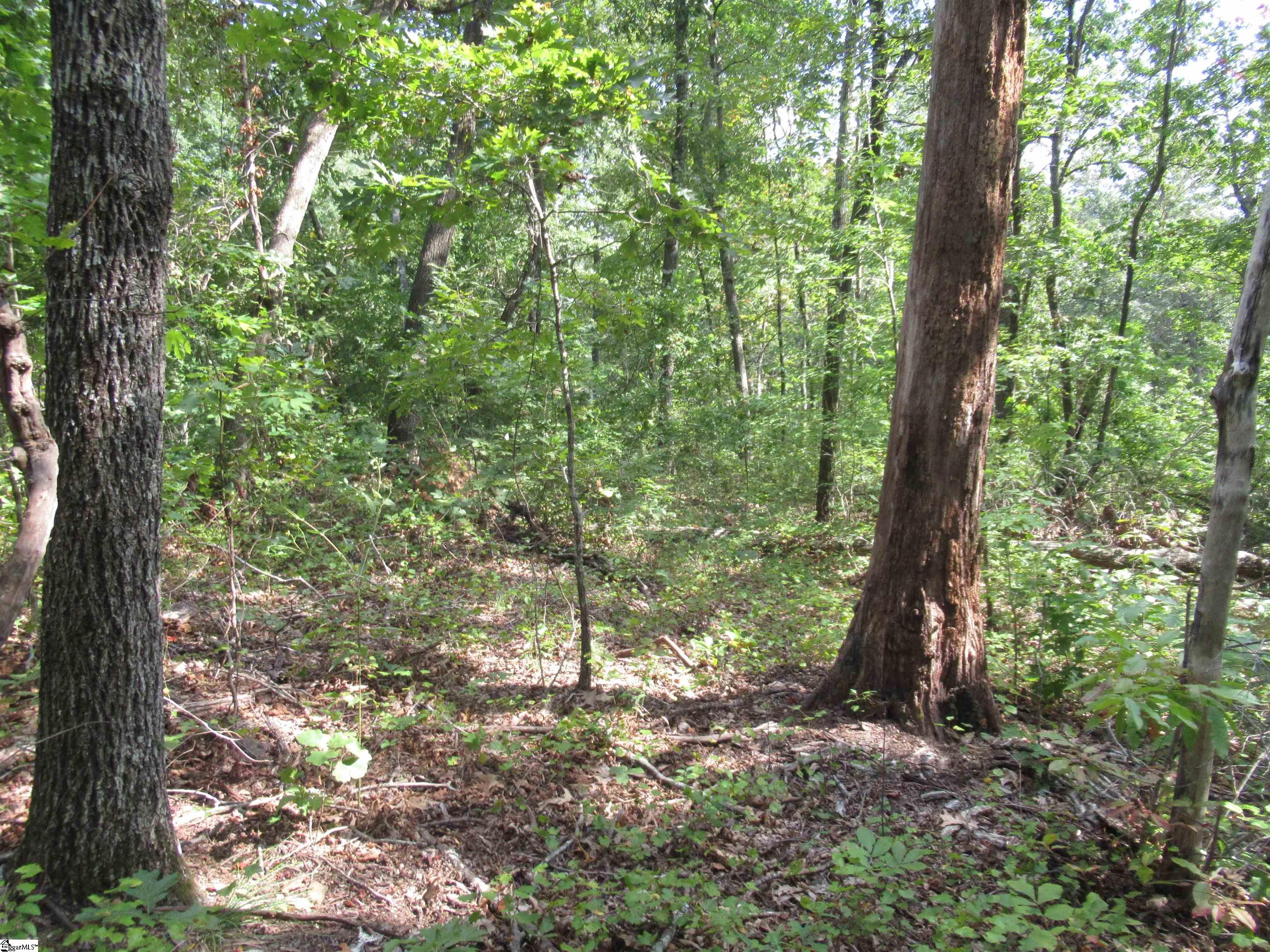 706 Scharlin Drive Pickens, SC 29671