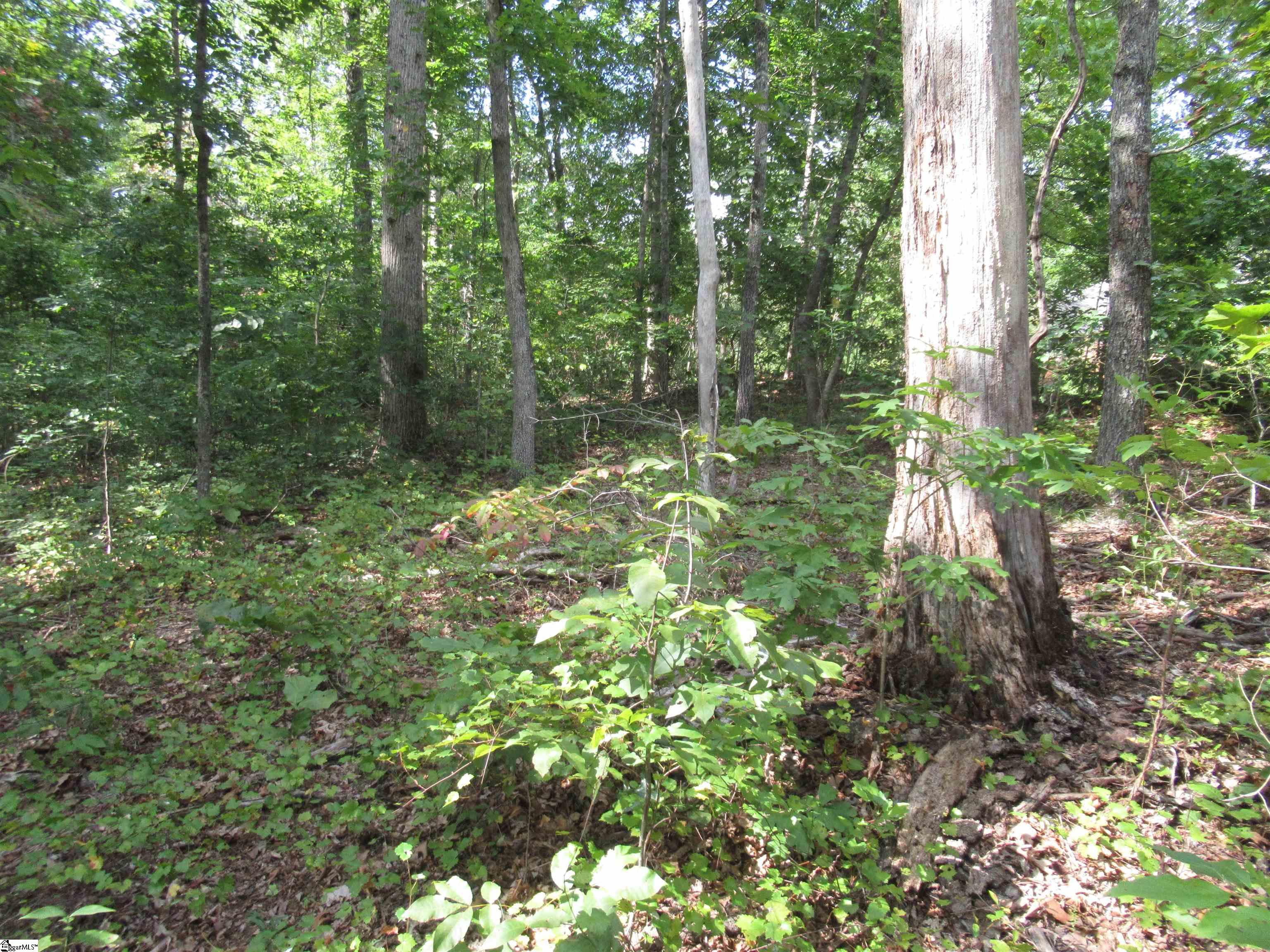 706 Scharlin Drive Pickens, SC 29671