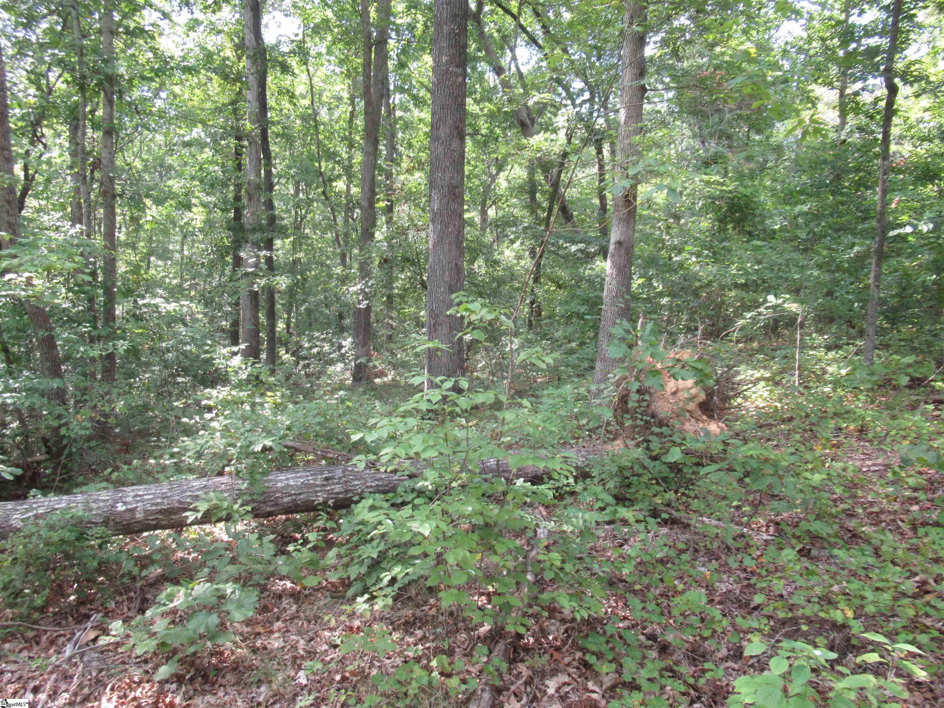 706 Scharlin Drive Pickens, SC 29671