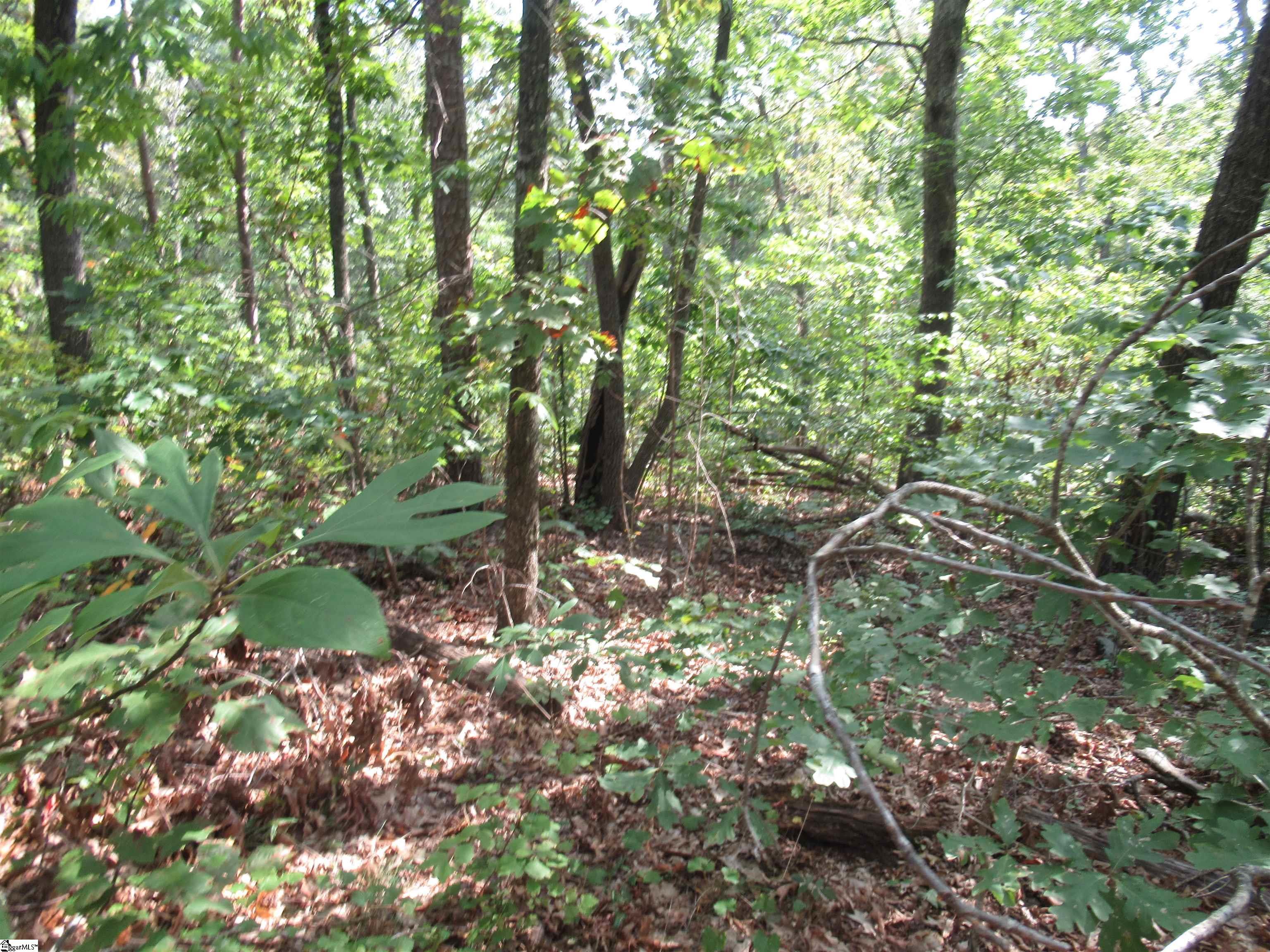 706 Scharlin Drive Pickens, SC 29671