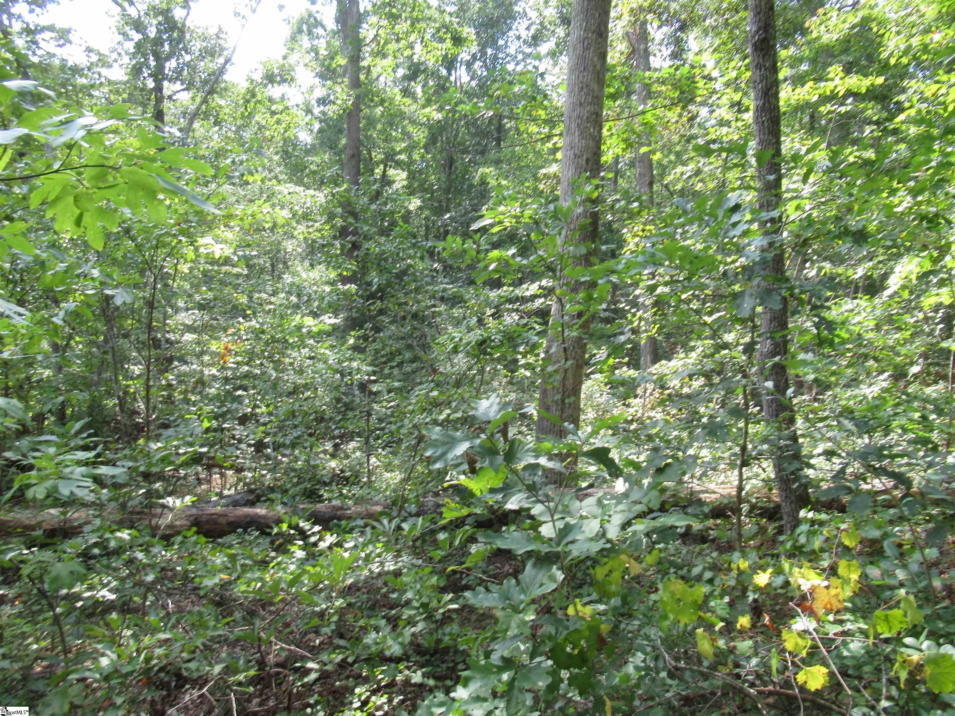 706 Scharlin Drive Pickens, SC 29671