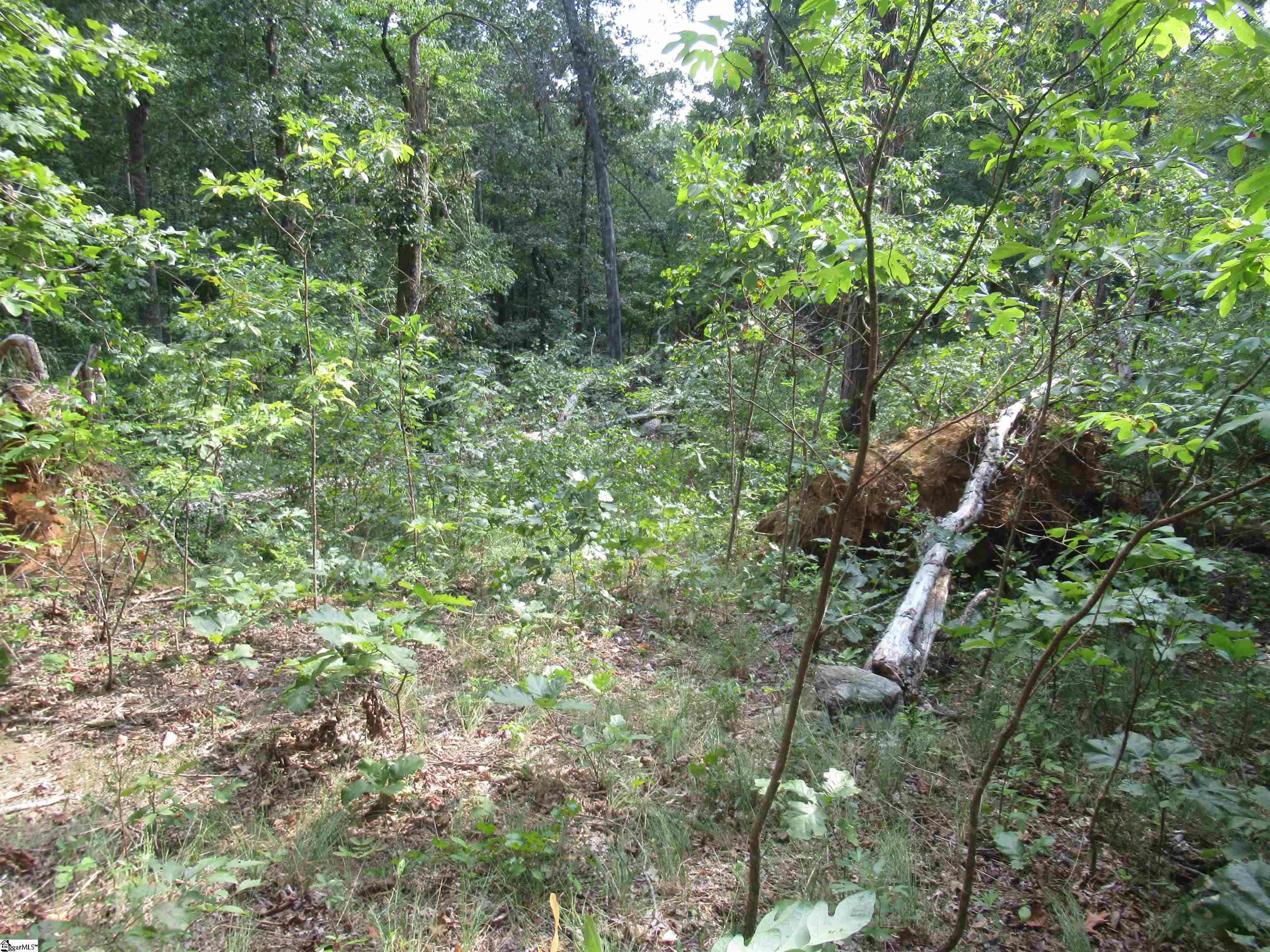 706 Scharlin Drive Pickens, SC 29671