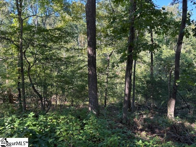 348 Skillet Road Waterloo, SC 29384