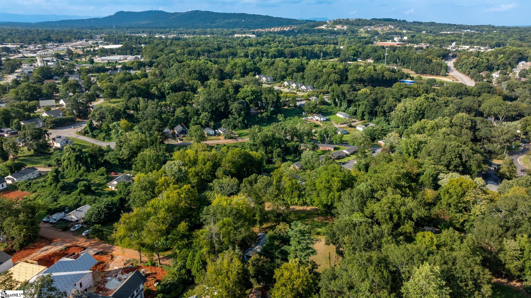 202 Orange Street Greenville, SC 29609