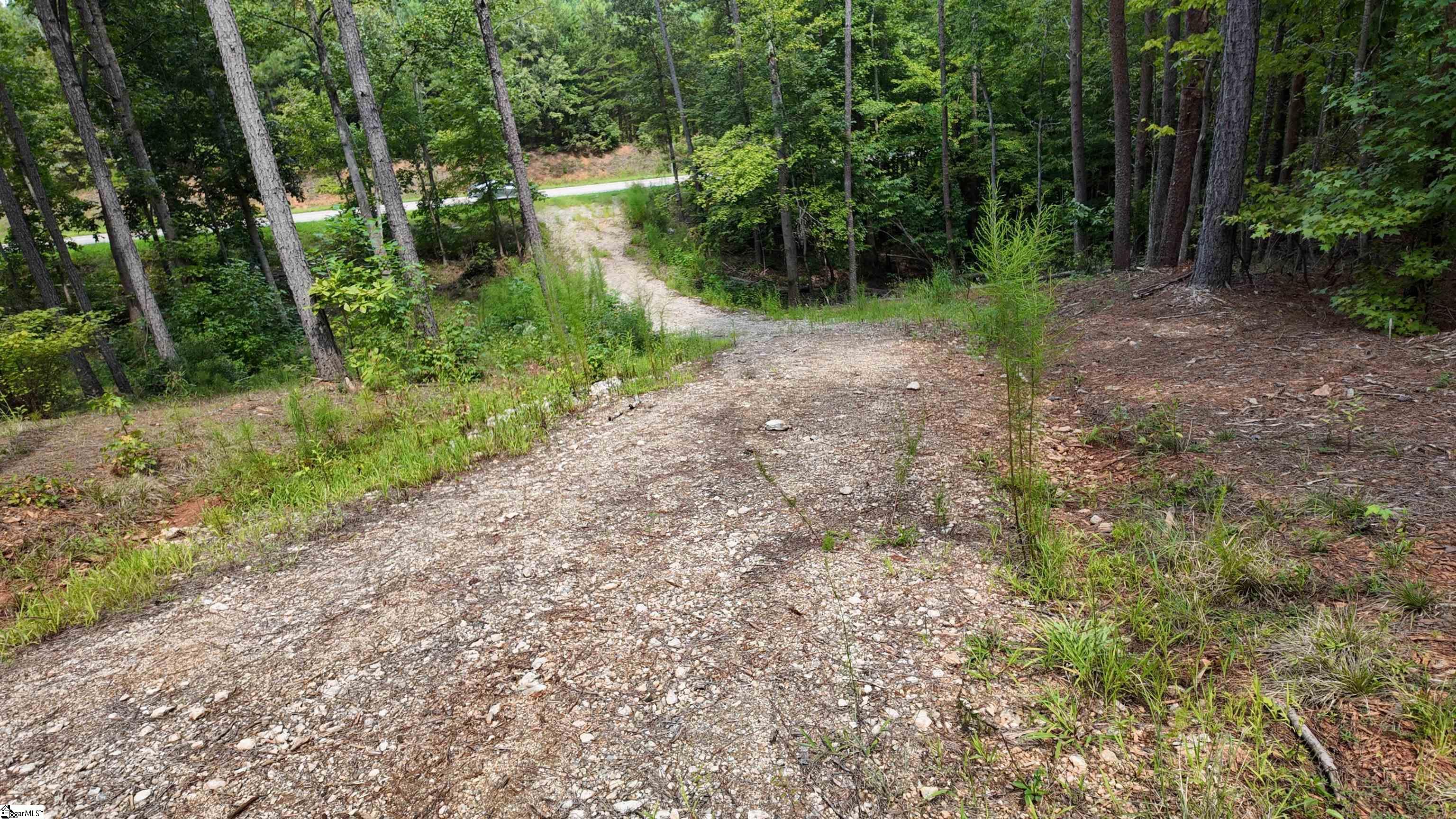 00 Old Georgia Highway Cowpens, SC 29330