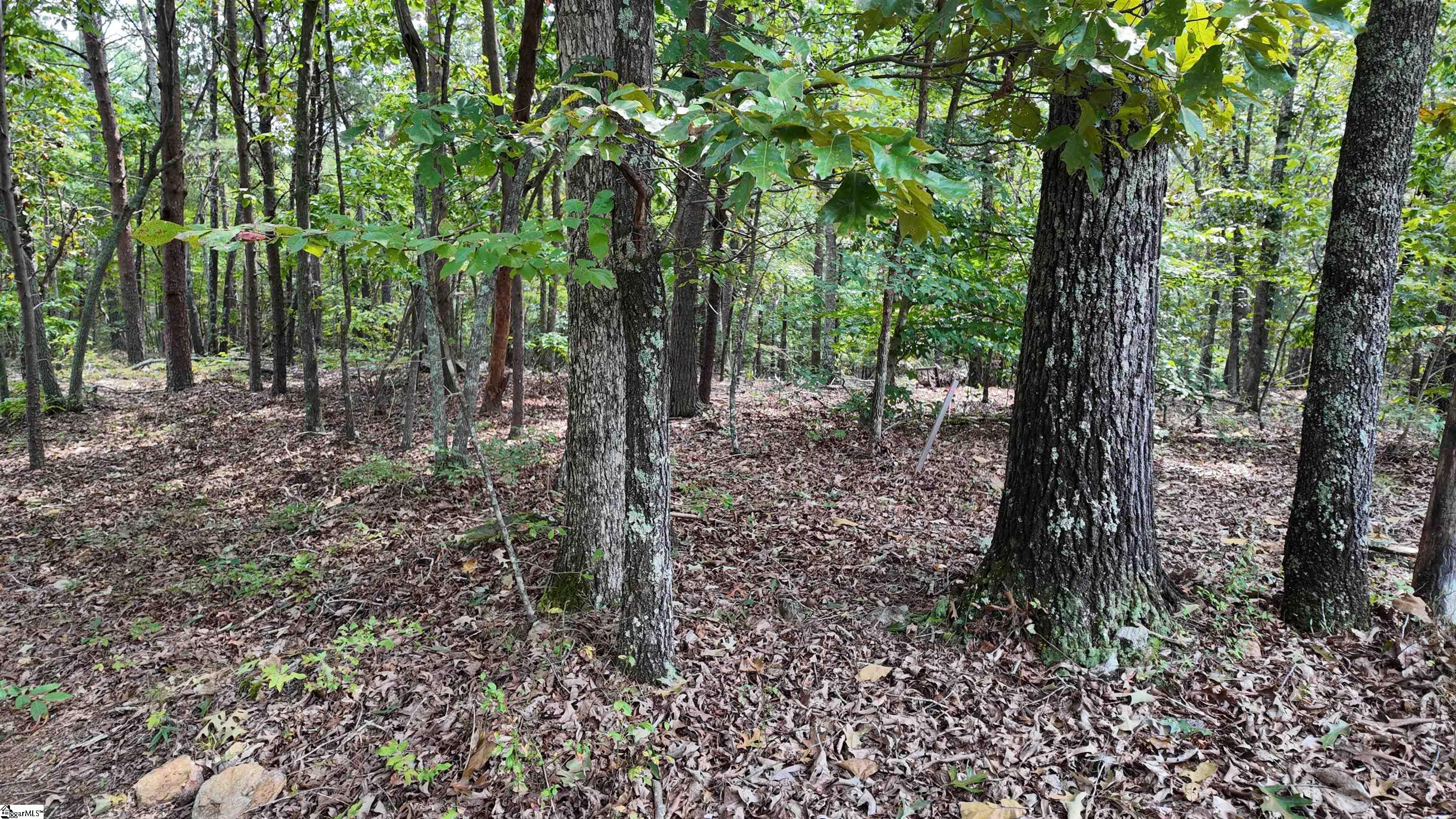 00 Old Georgia Highway Cowpens, SC 29330