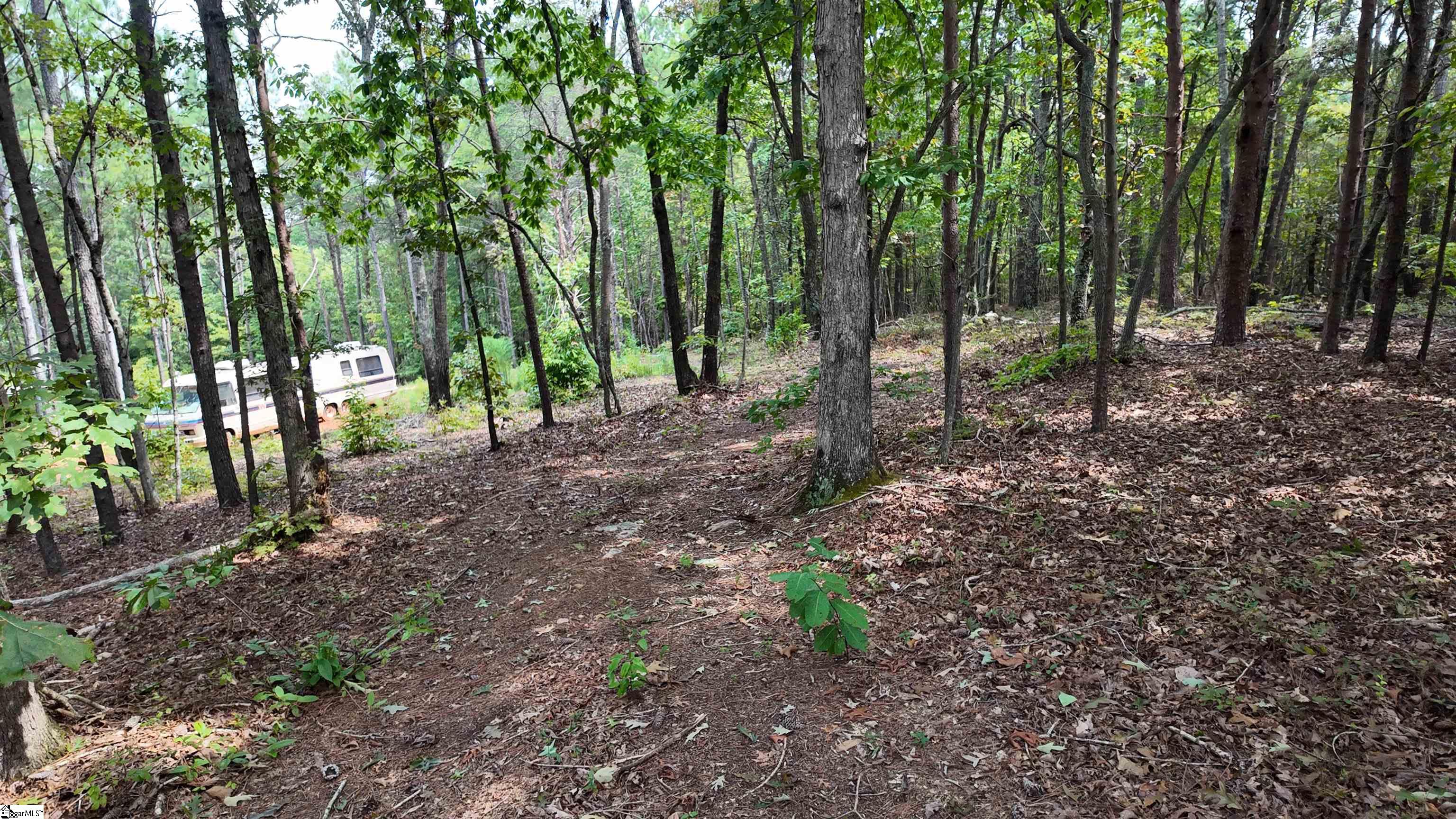 00 Old Georgia Highway Cowpens, SC 29330