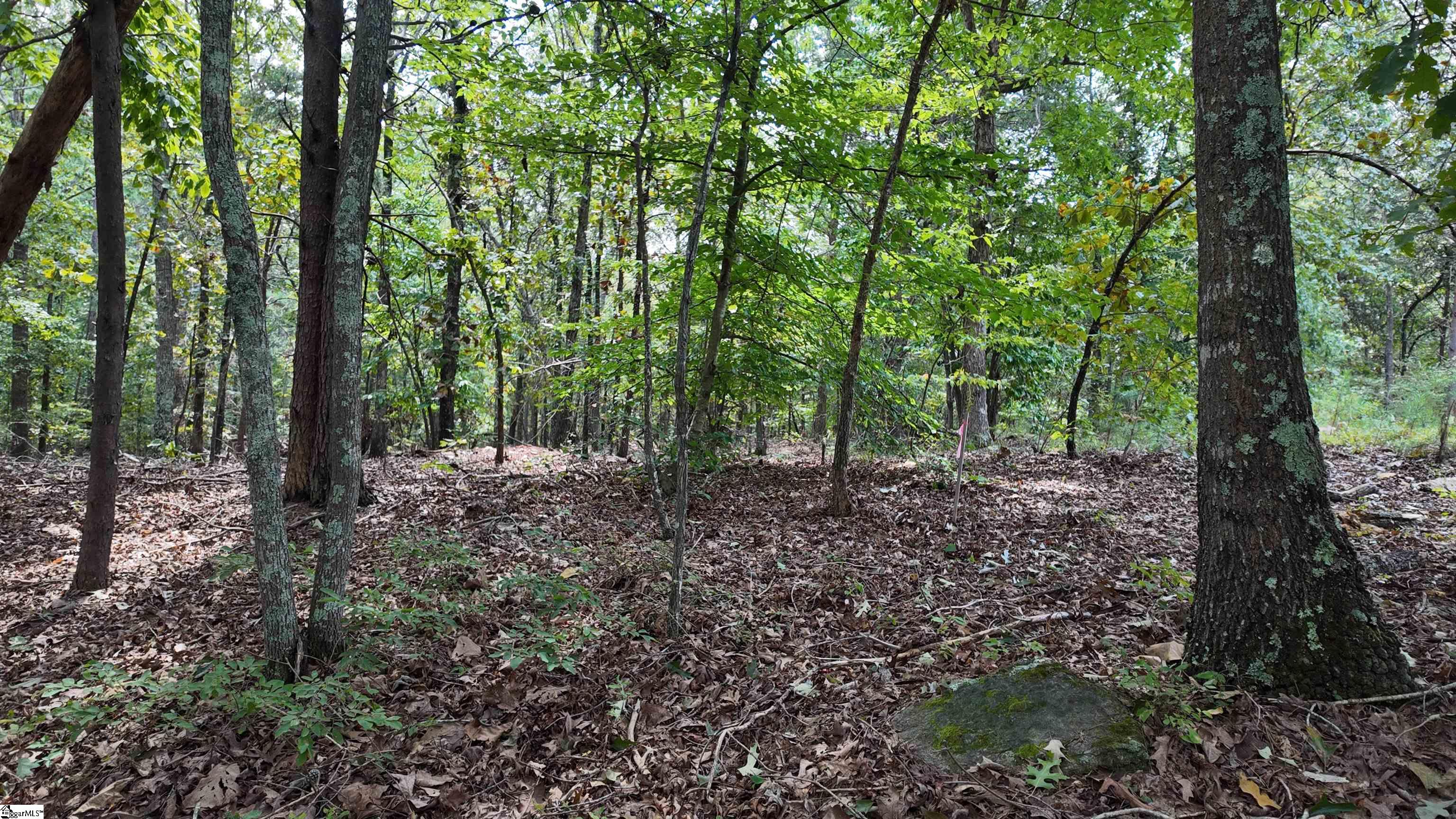 00 Old Georgia Highway Cowpens, SC 29330