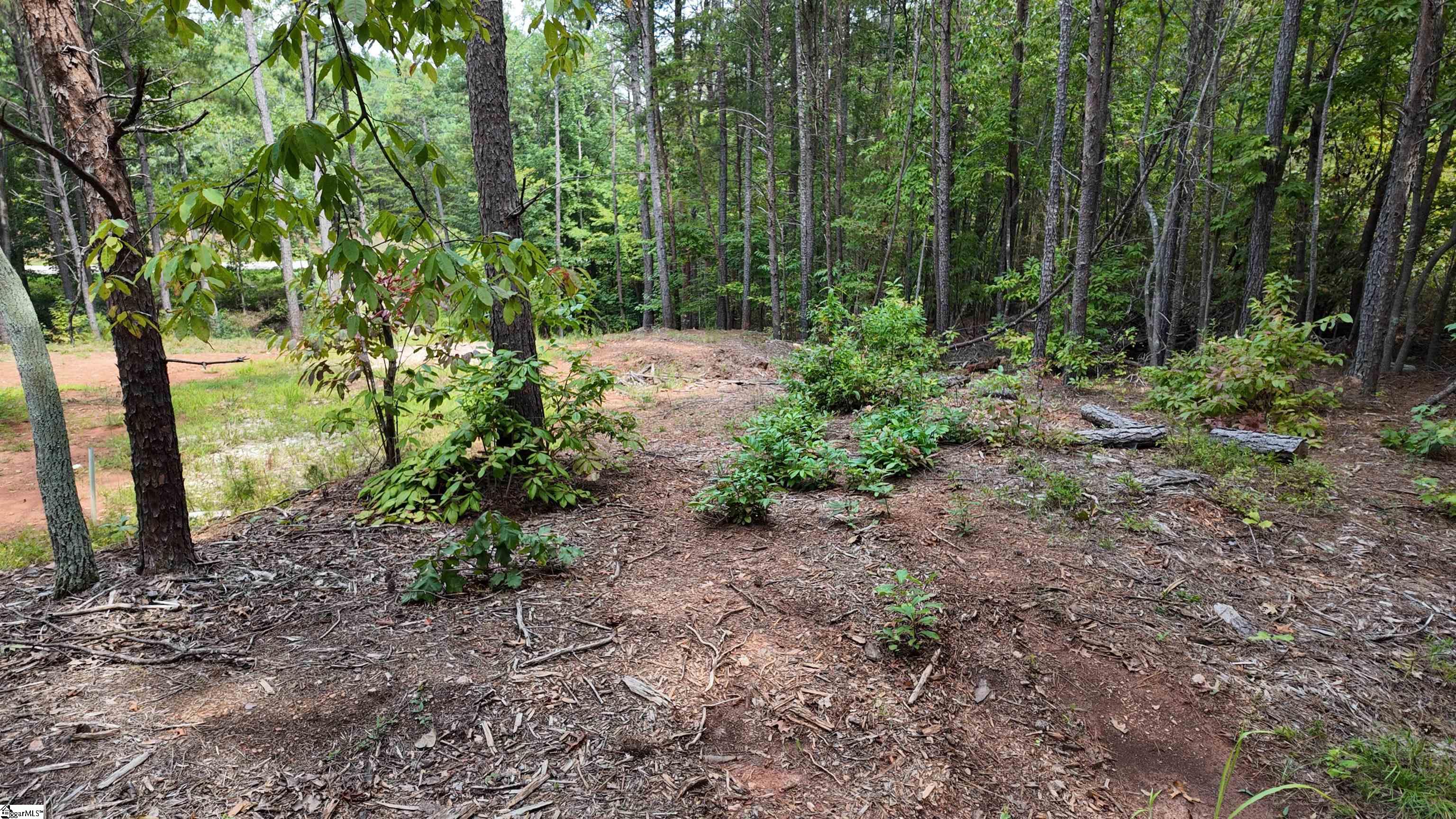 00 Old Georgia Highway Cowpens, SC 29330