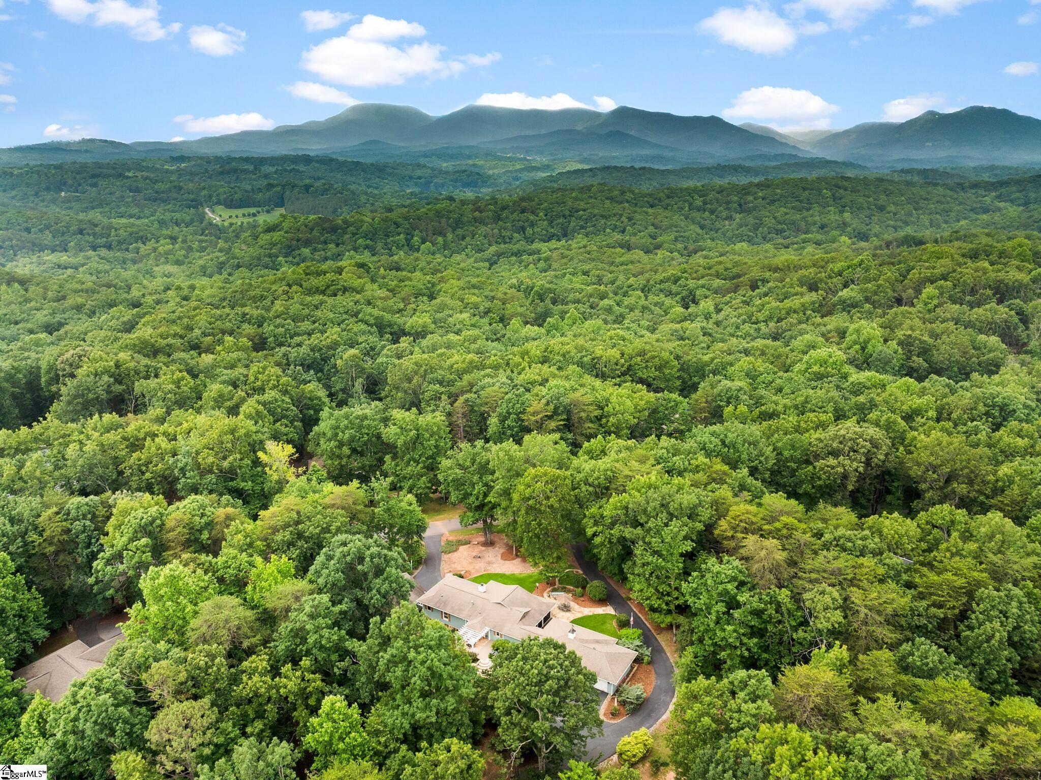 1165 Mountain Laurel Drive Columbus, NC 28722