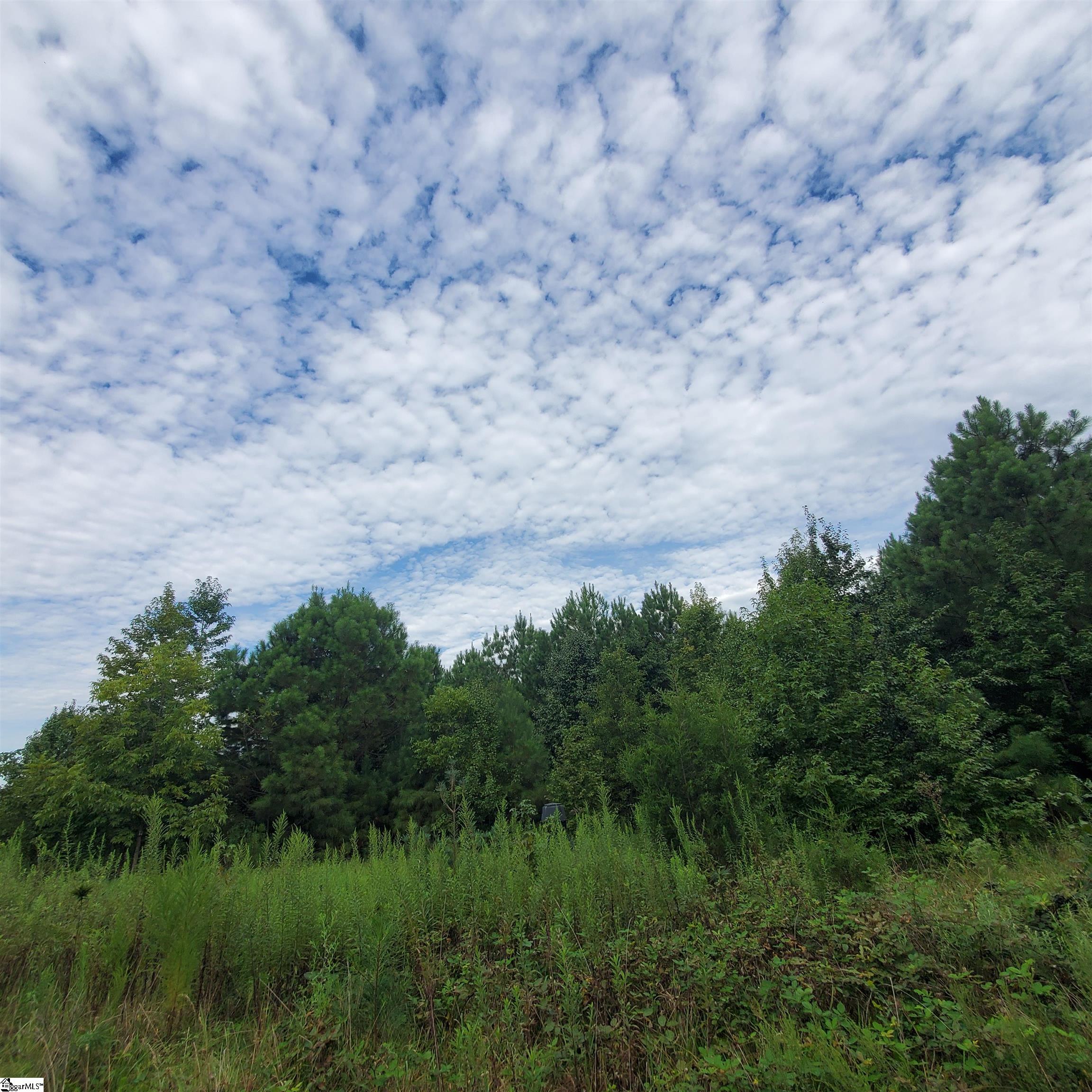 00 Easley Highway Pelzer, SC 29669-1004